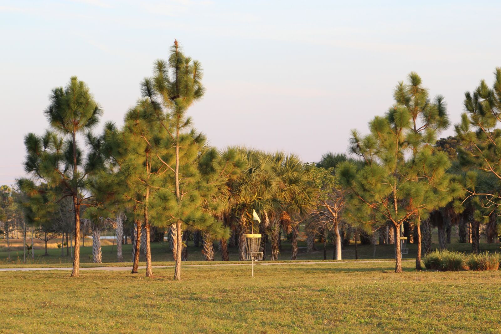 Canon EF75-300mm f/4-5.6 sample photo. Woods, park, nature photography