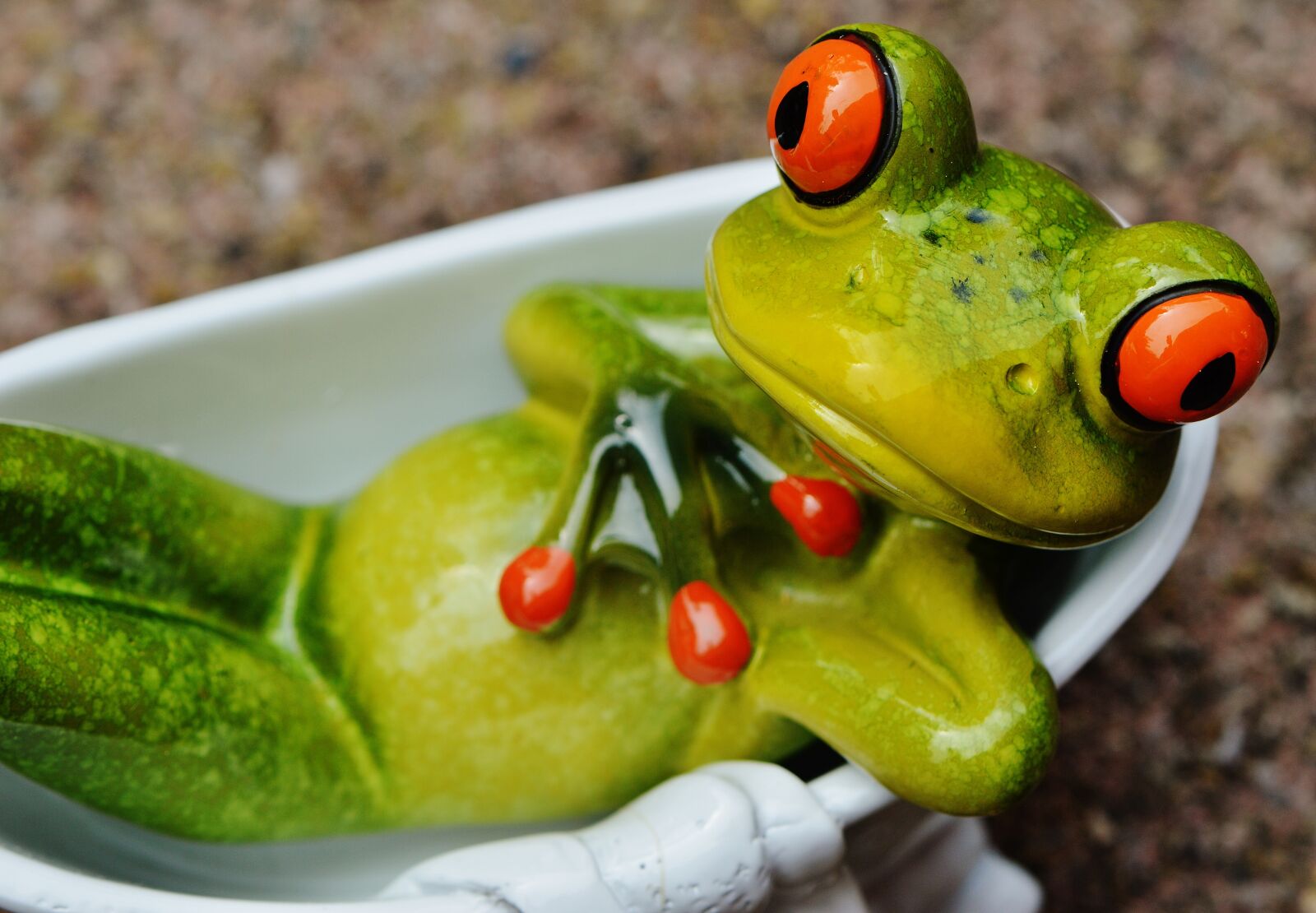 Nikon D3200 sample photo. Frog, funny, bath photography
