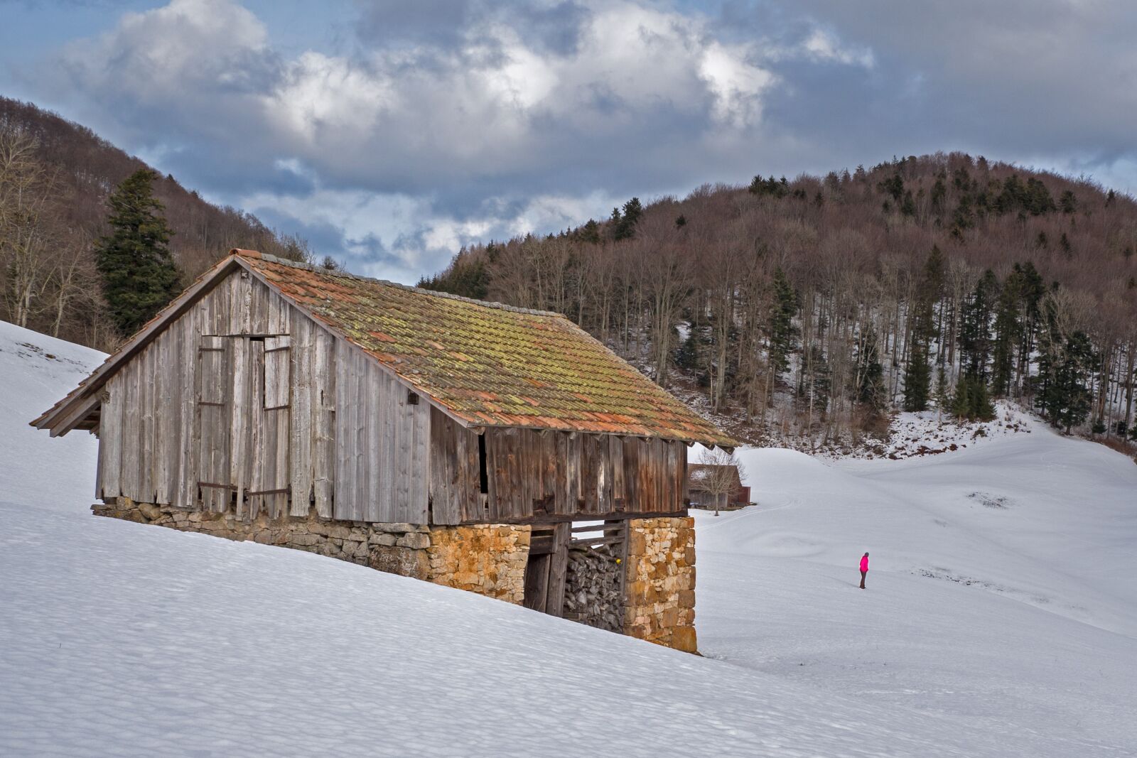 Panasonic Lumix DC-G9 sample photo. Scale, tool shed, hut photography