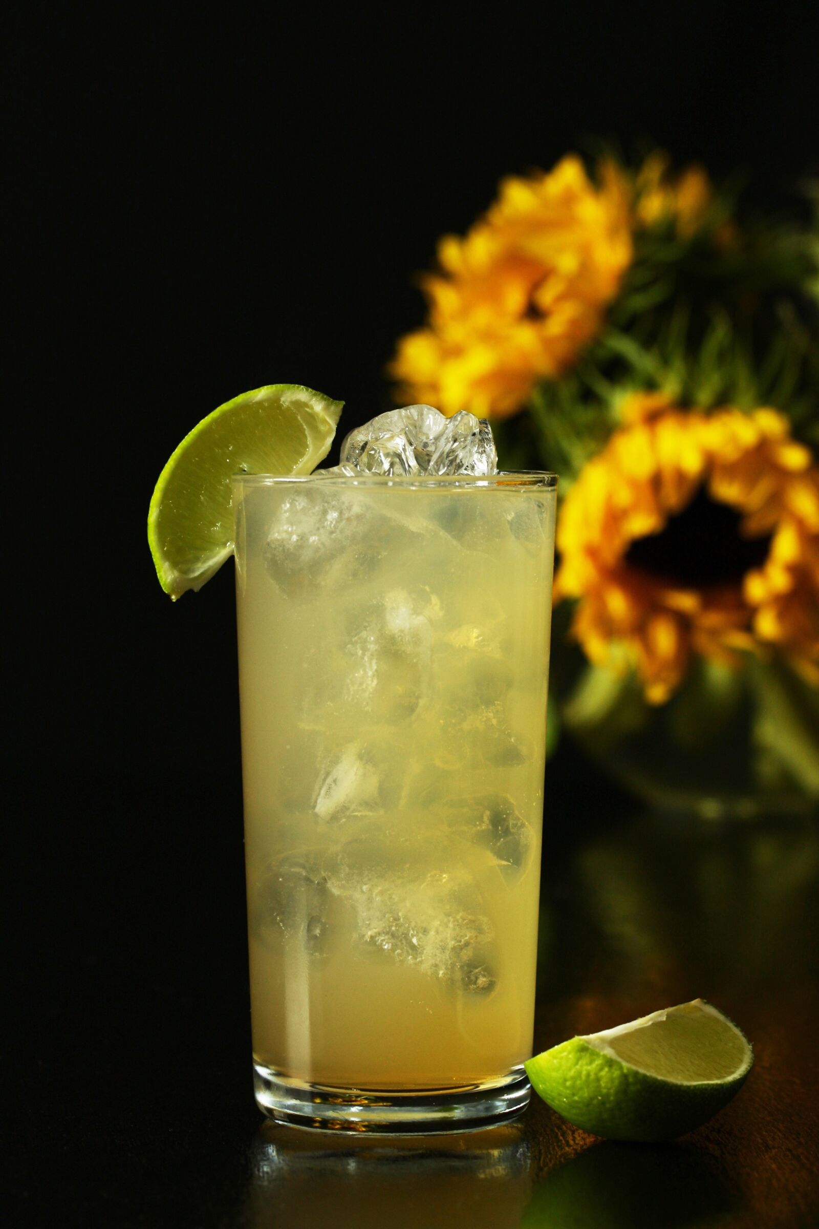 Canon EOS 40D sample photo. Gin and ginger ale photography