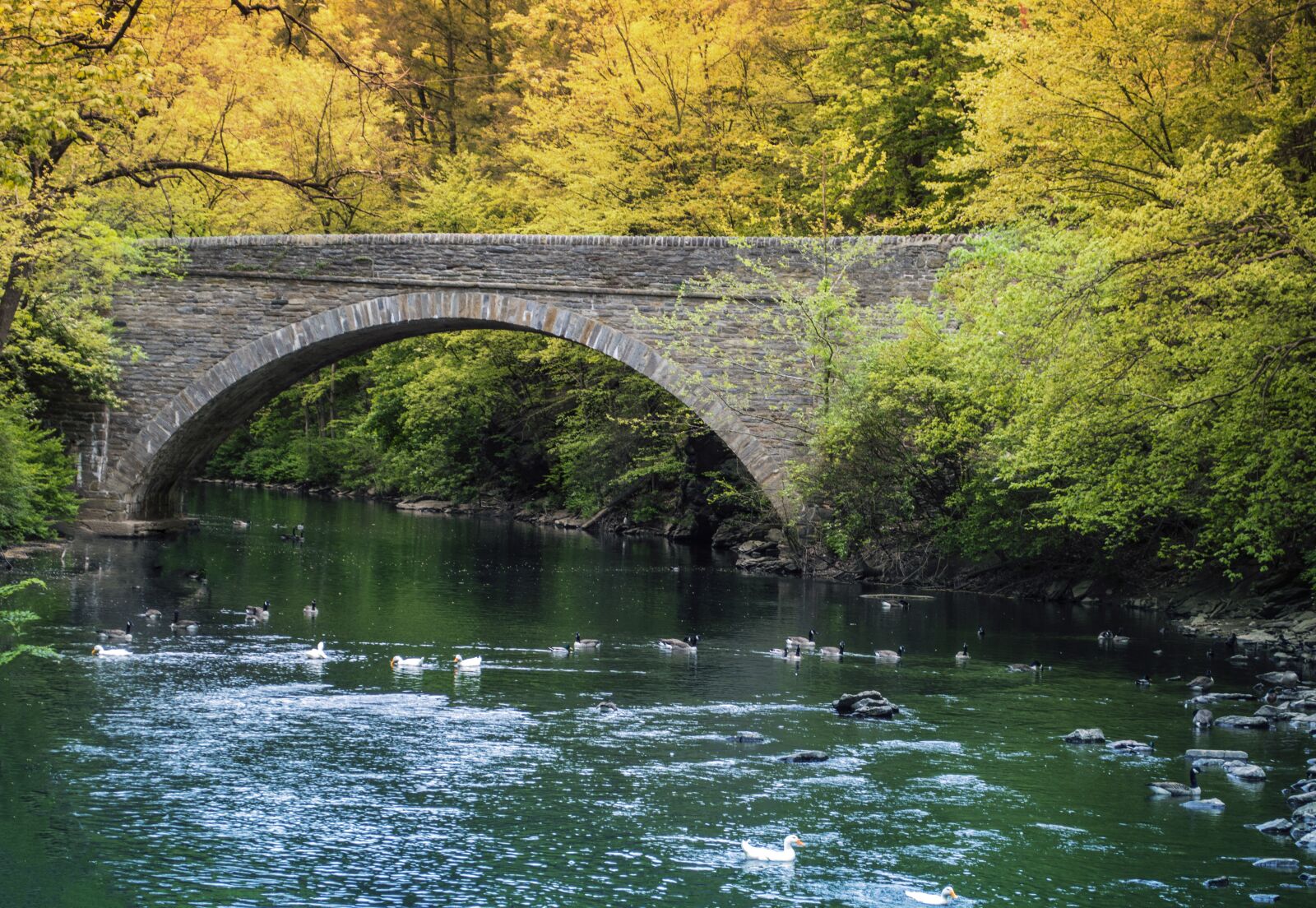 Nikon D3200 sample photo. Bridge, river, lake photography