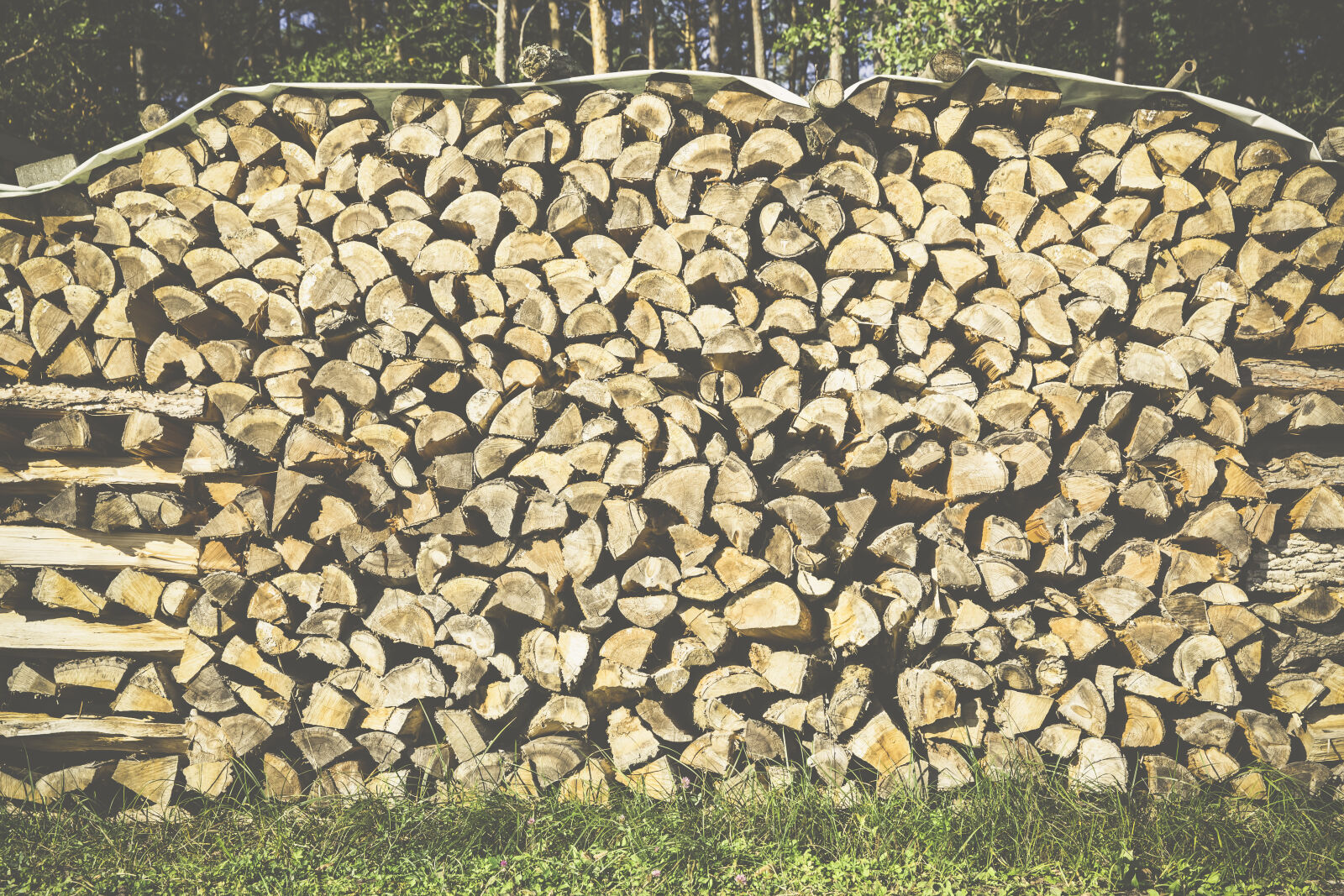 Canon EF 24-70mm F2.8L II USM sample photo. Wood, logs, wooden, logs photography