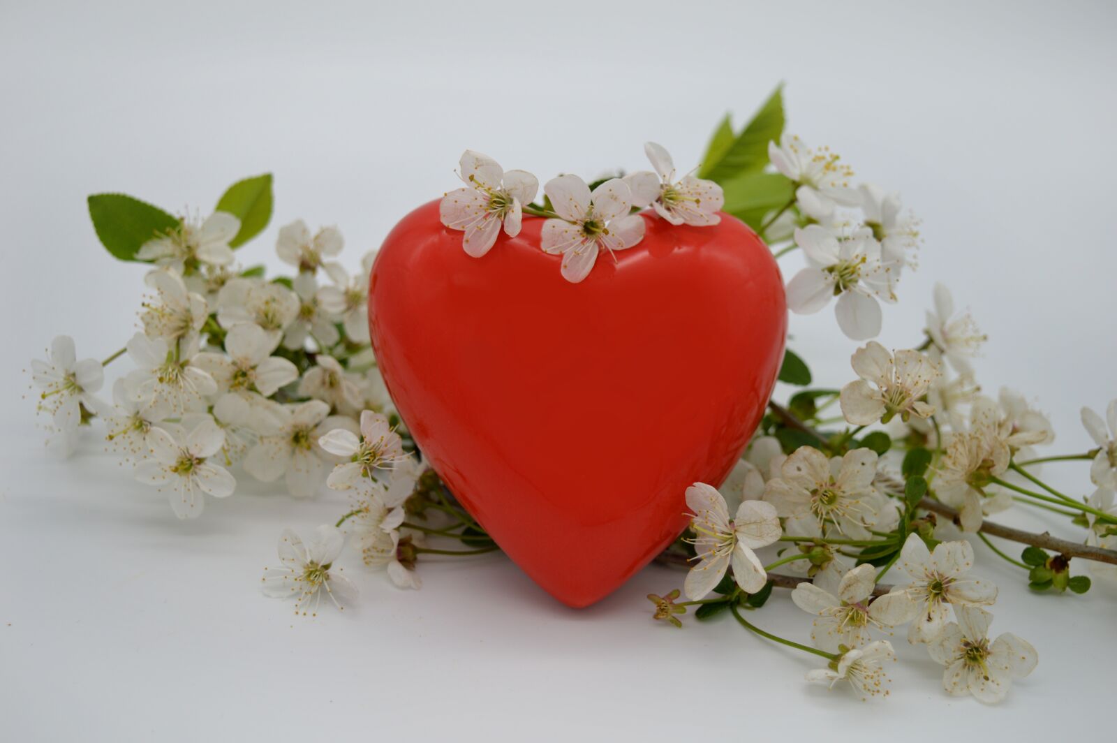 Nikon D3200 sample photo. Heart, red, cherry blossoms photography