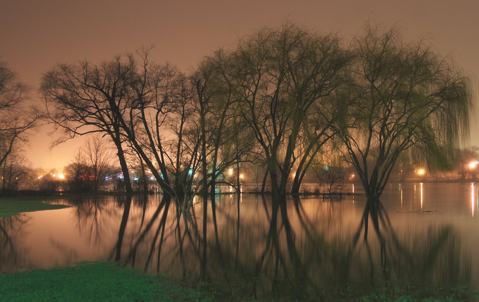Nikon D80 sample photo. Trees, water, lake photography