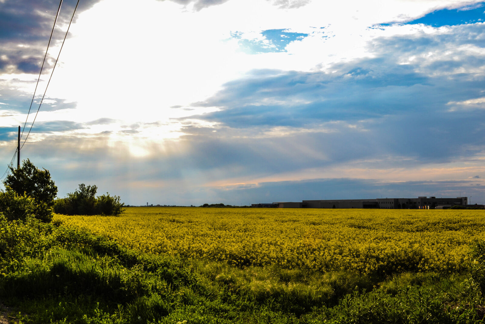 Nikon D3100 sample photo. Agriculture, clouds, countryside, cropland photography