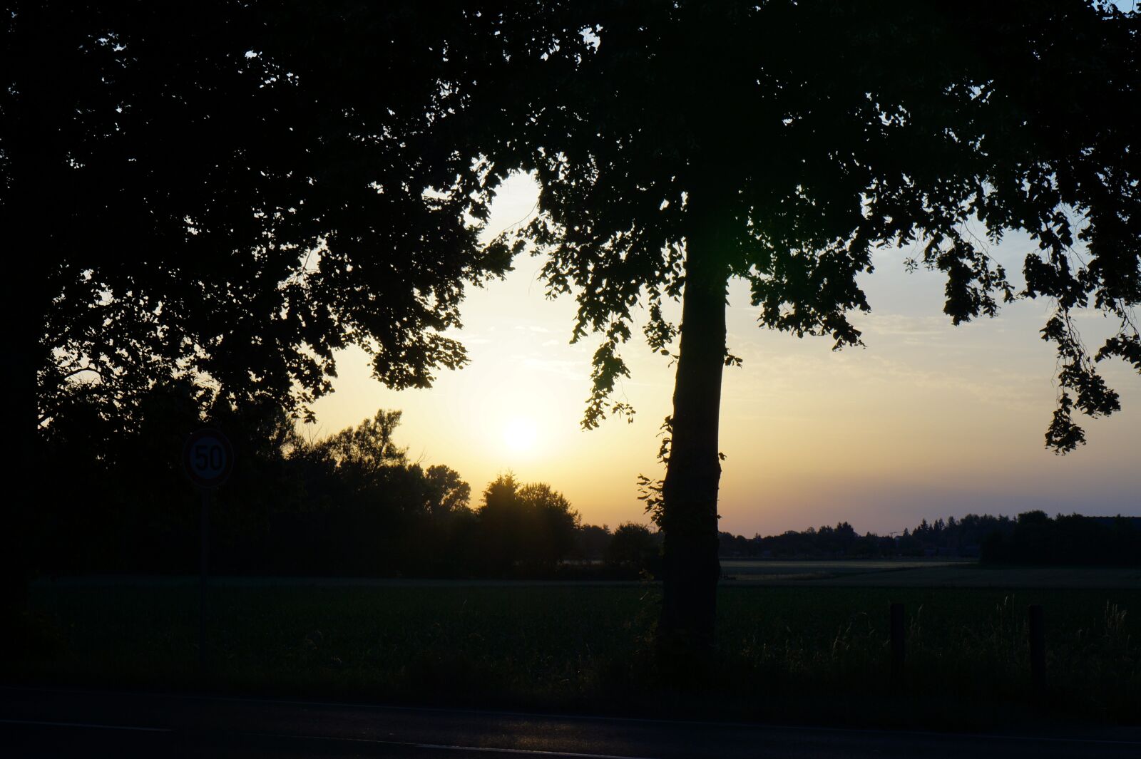 Sony Alpha a3000 + Sony E 18-55mm F3.5-5.6 OSS sample photo. Landscape, trees, nature photography