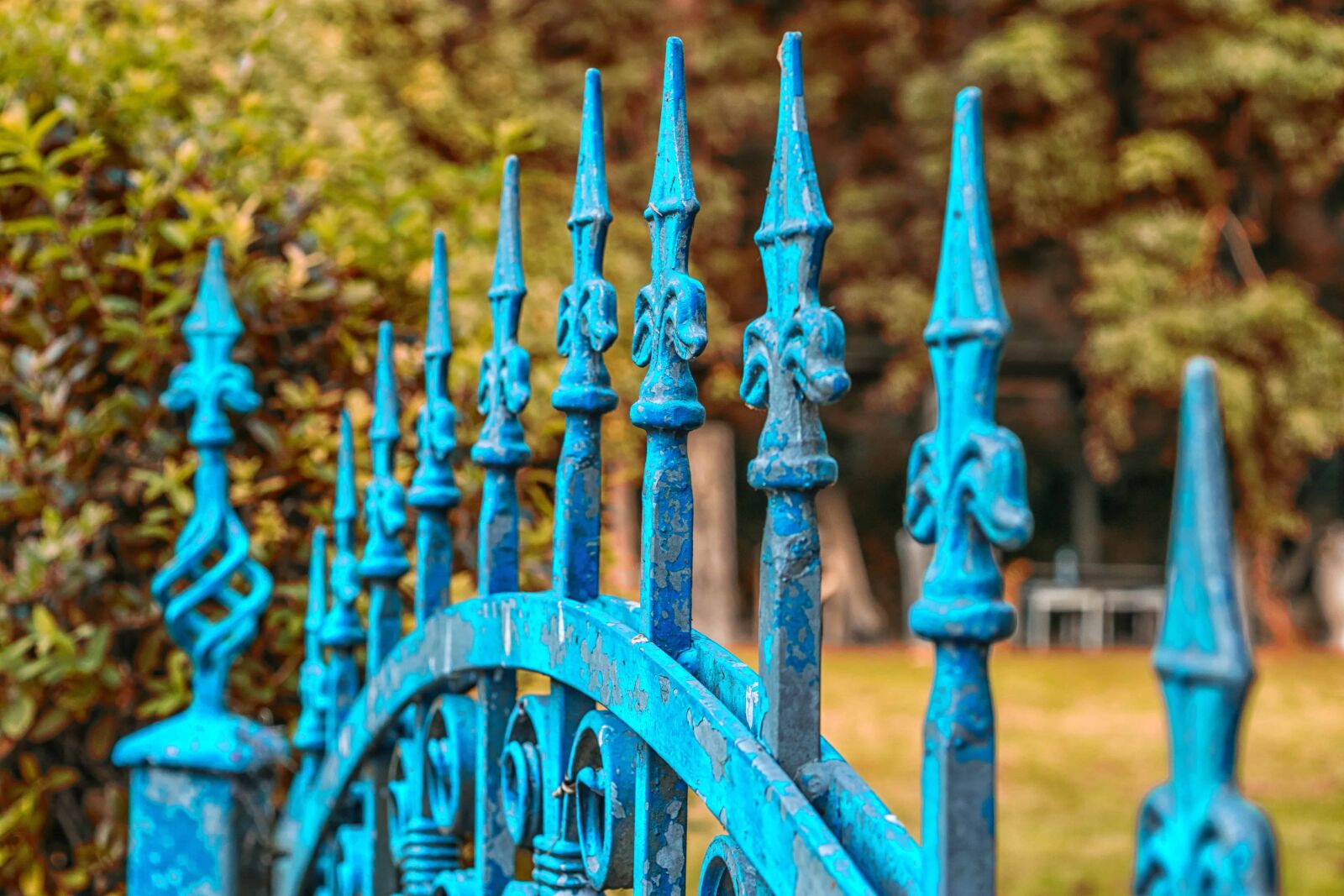 Nikon D3300 sample photo. Front door, iron, fence photography