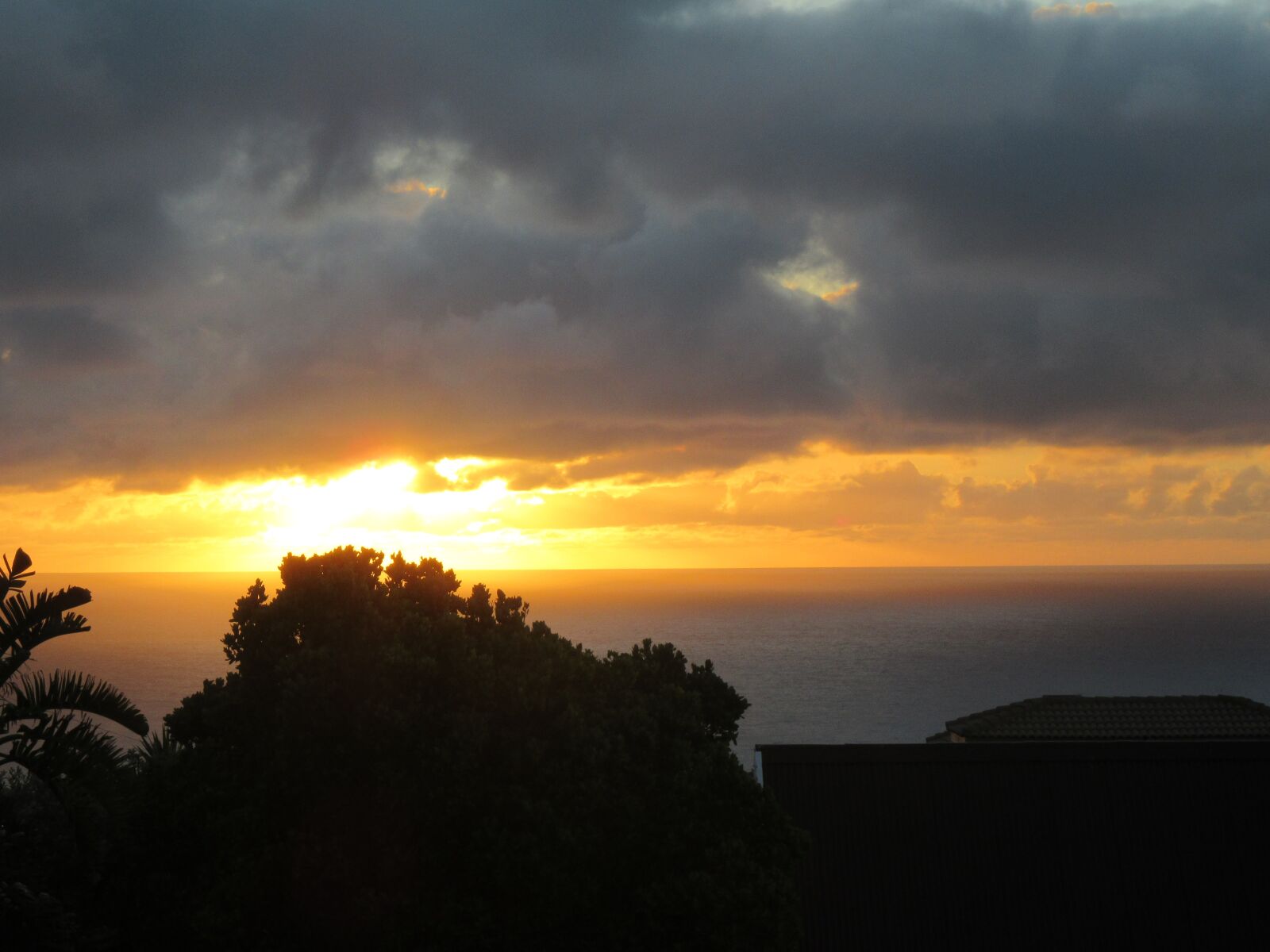 Canon PowerShot SX610 HS sample photo. Ocean, ocean sunset, palm photography