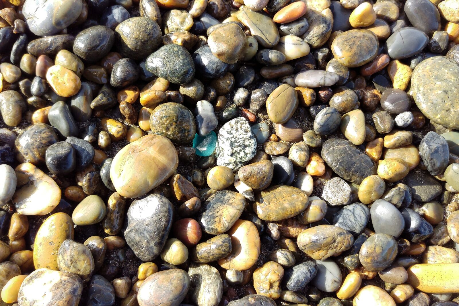 HTC HTV31 sample photo. Sea, beach, pebbles photography