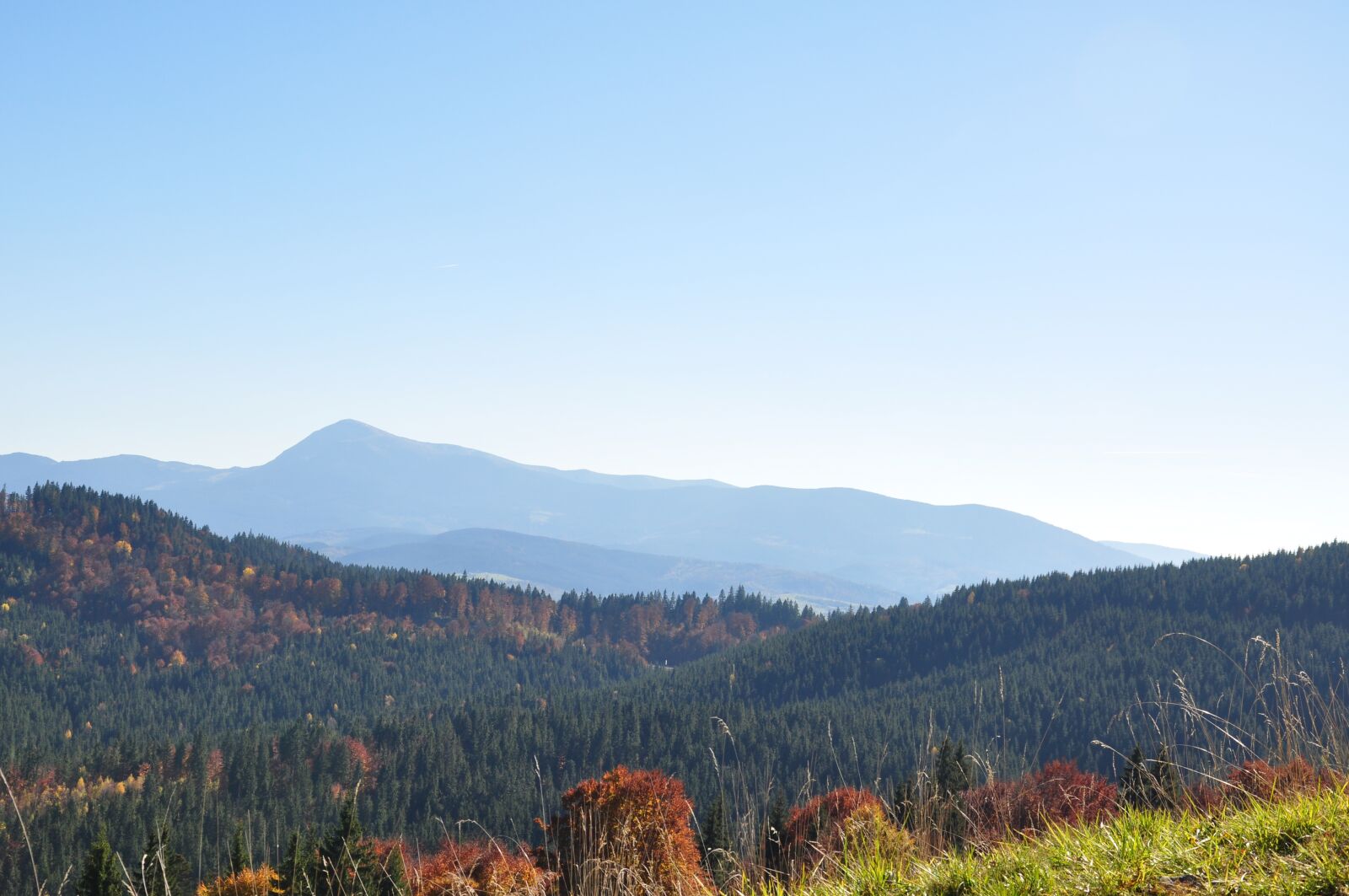 Nikon D90 sample photo. Mountains, autumn, forest photography
