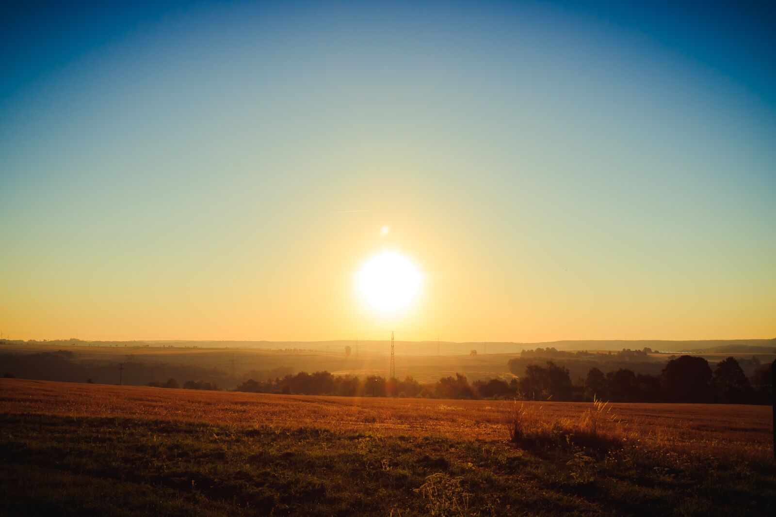 Canon EOS 750D (EOS Rebel T6i / EOS Kiss X8i) sample photo. Landscape, tree, sunrise photography