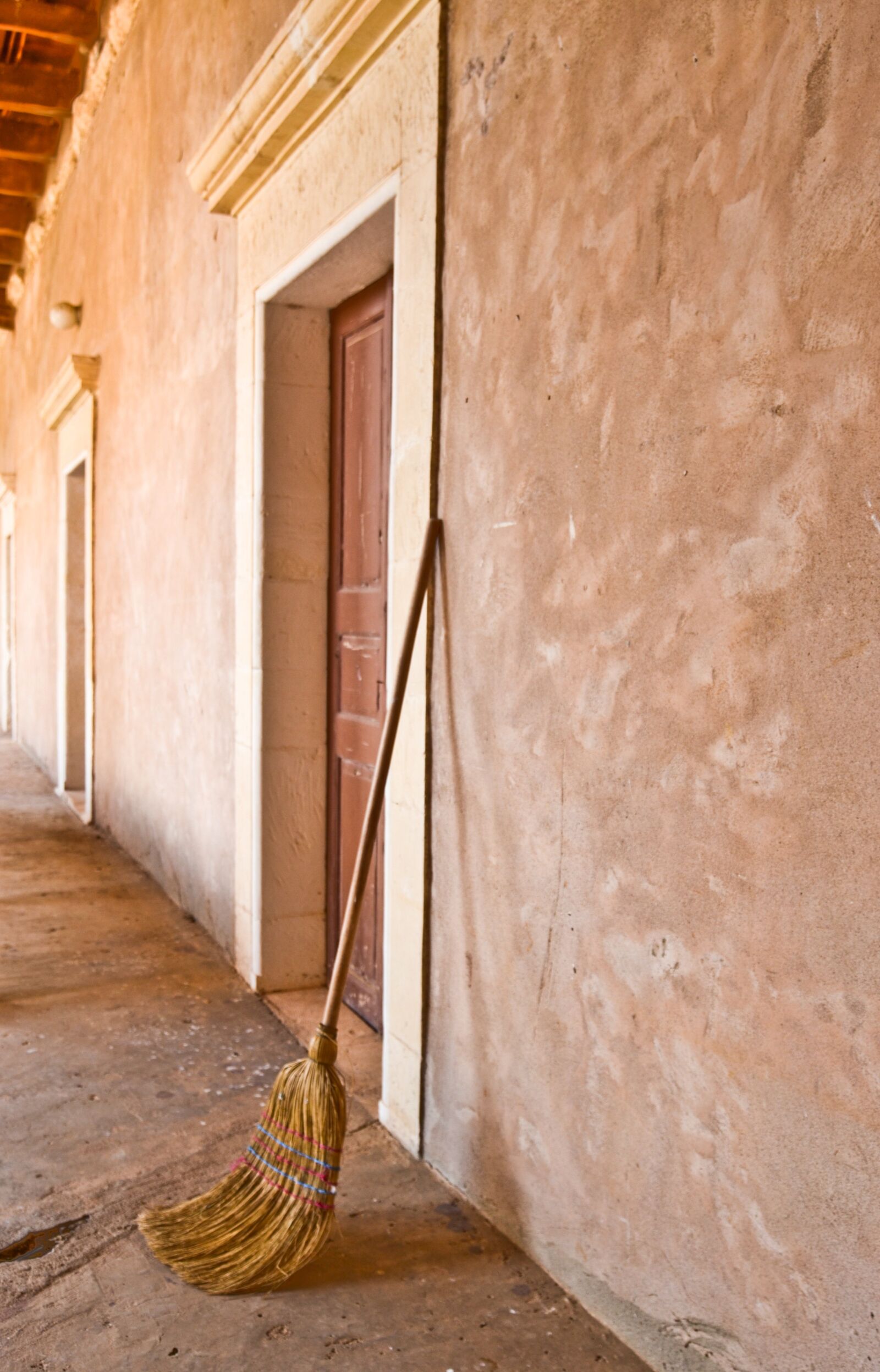 Nikon D3100 sample photo. Monastery, brushes, door photography