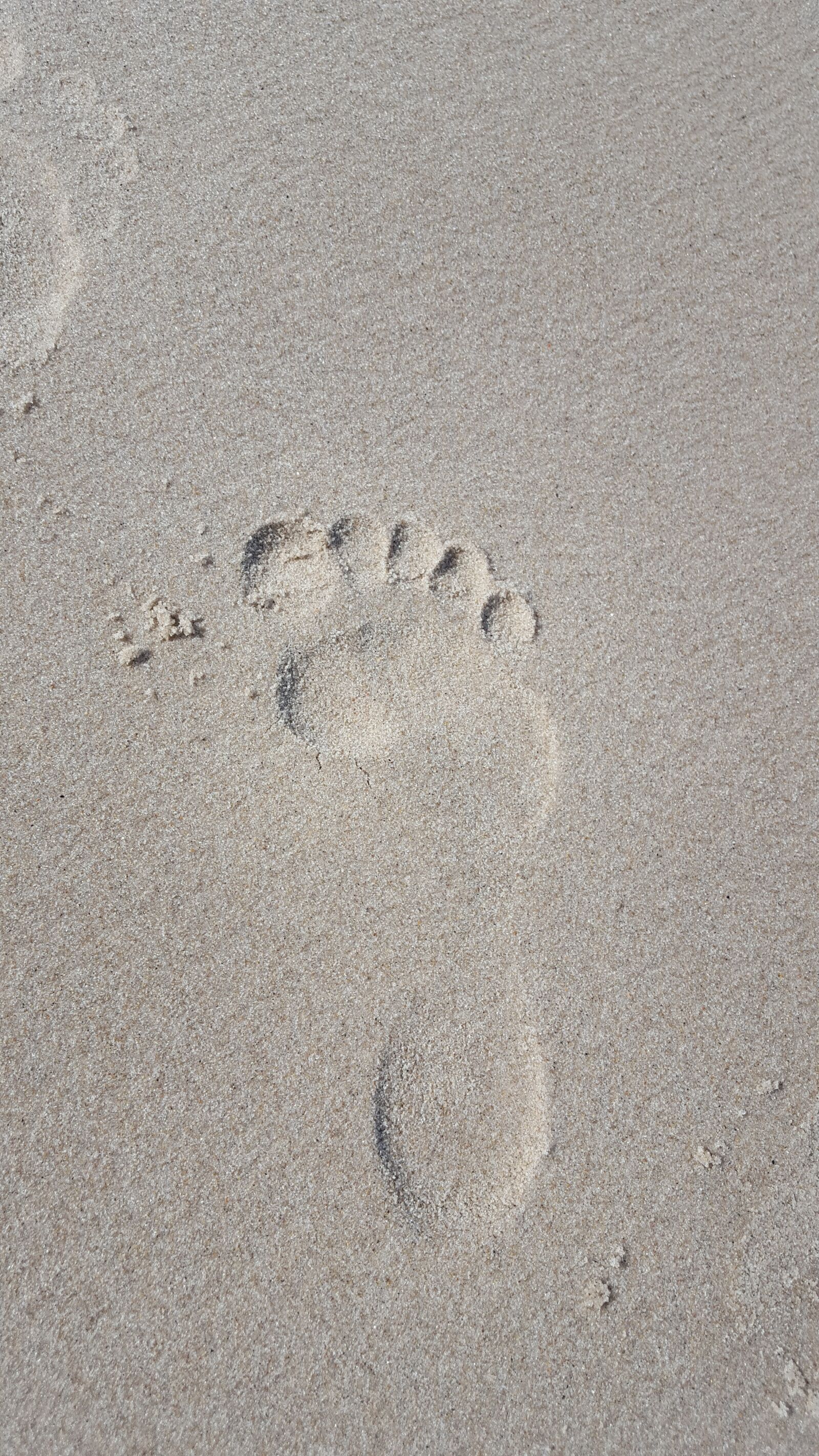 Samsung Galaxy S6 sample photo. Imprint, the rate of photography