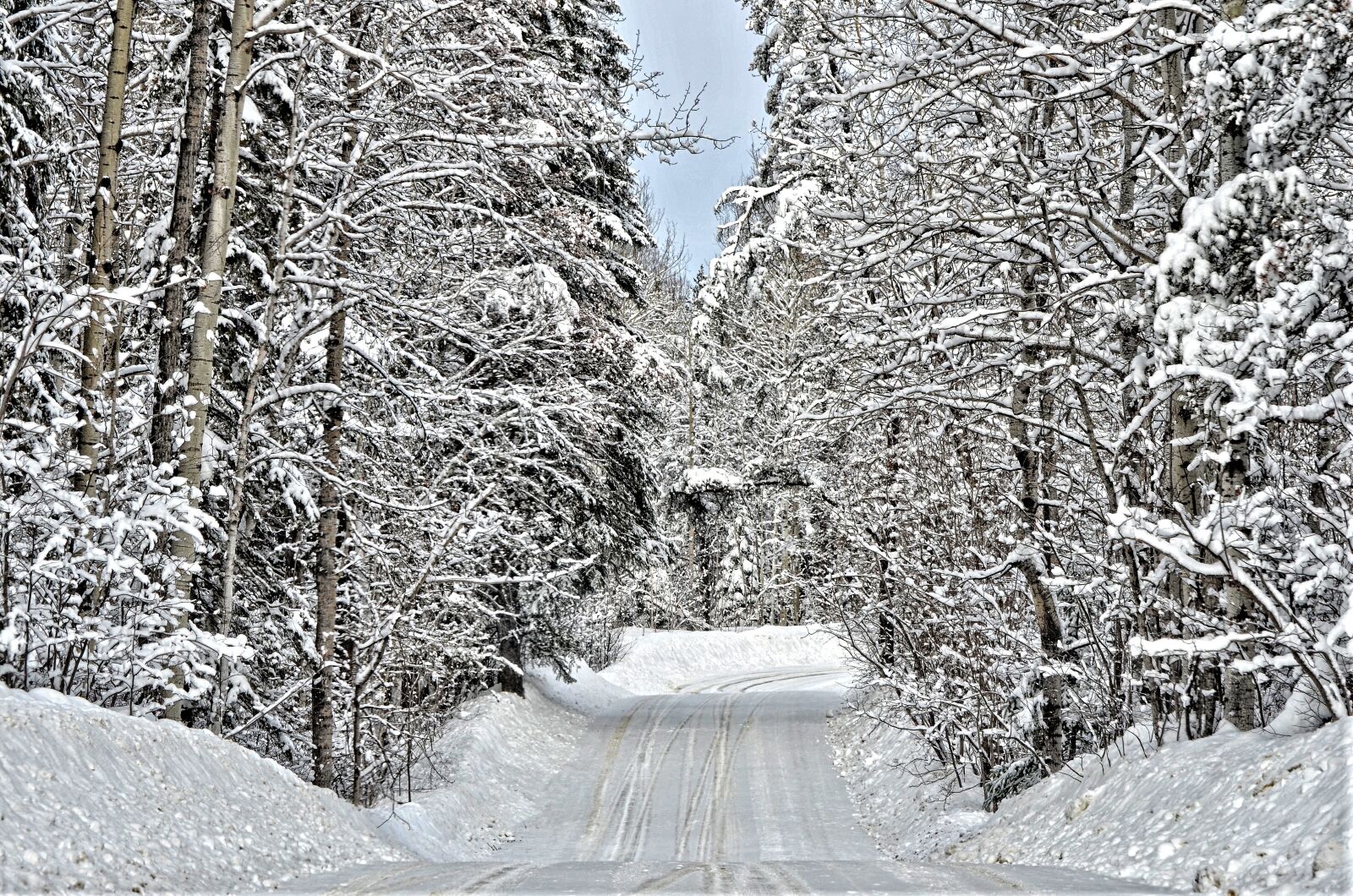 Nikon D7000 sample photo. Winter, road, rural photography