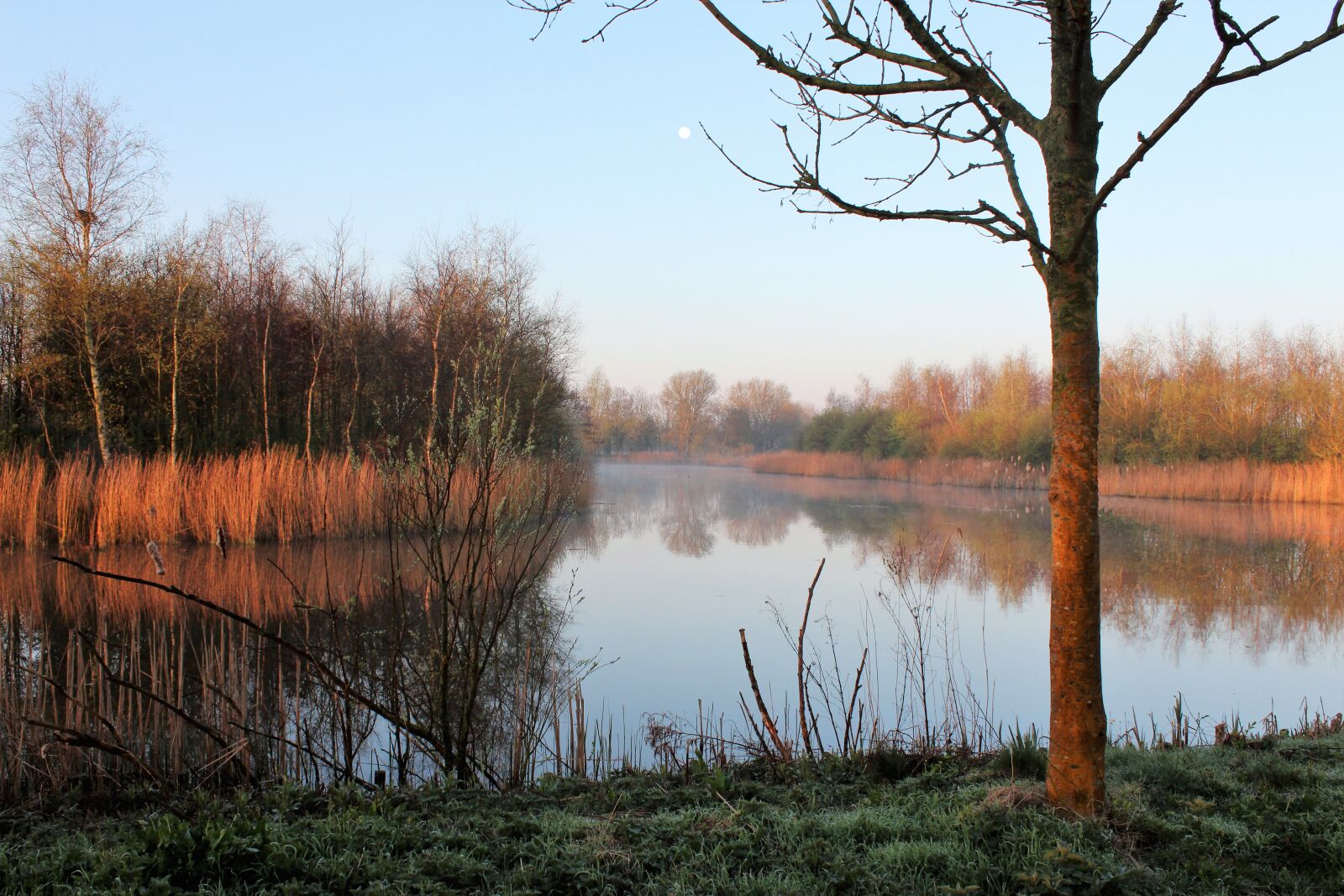 Canon EOS 600D (Rebel EOS T3i / EOS Kiss X5) sample photo. Nature, water, dawn photography