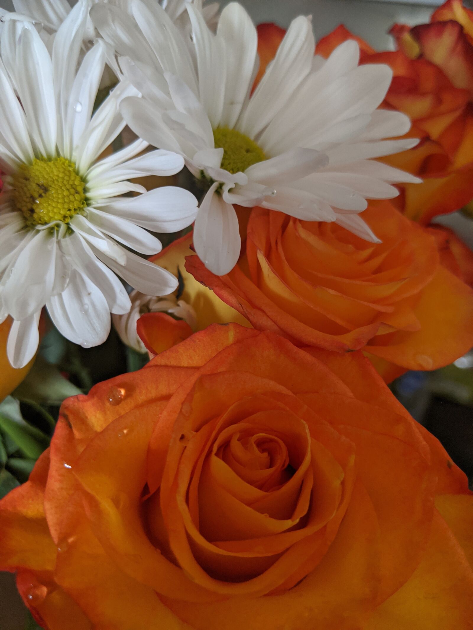Google Pixel 2 XL sample photo. Flowers, orange, white photography