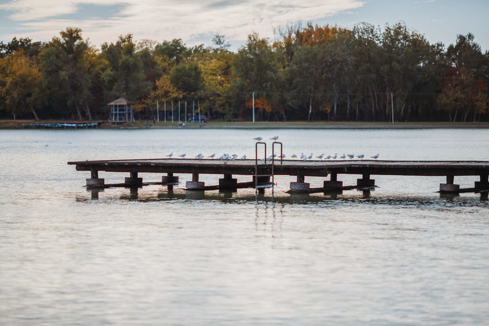 Canon EF 135mm F2L USM sample photo. Dock, lakeside, resort area photography