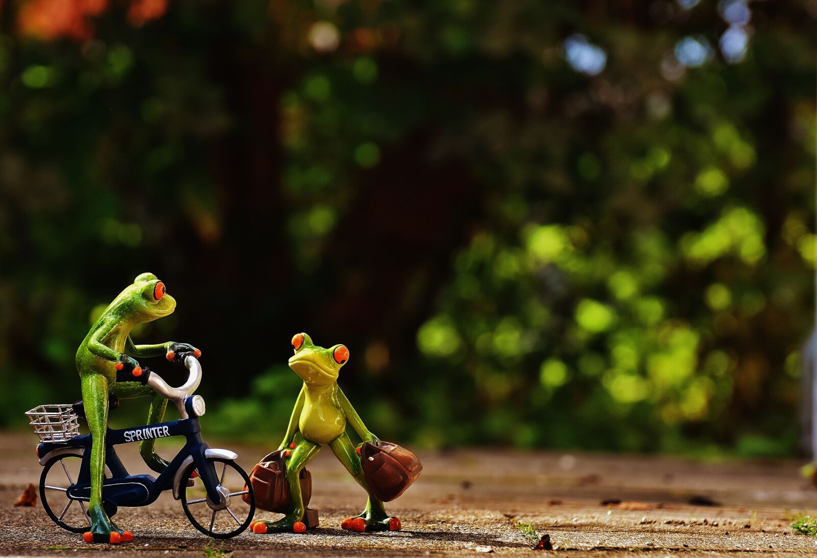 Nikon D7200 sample photo. Frogs, arrive, bike photography