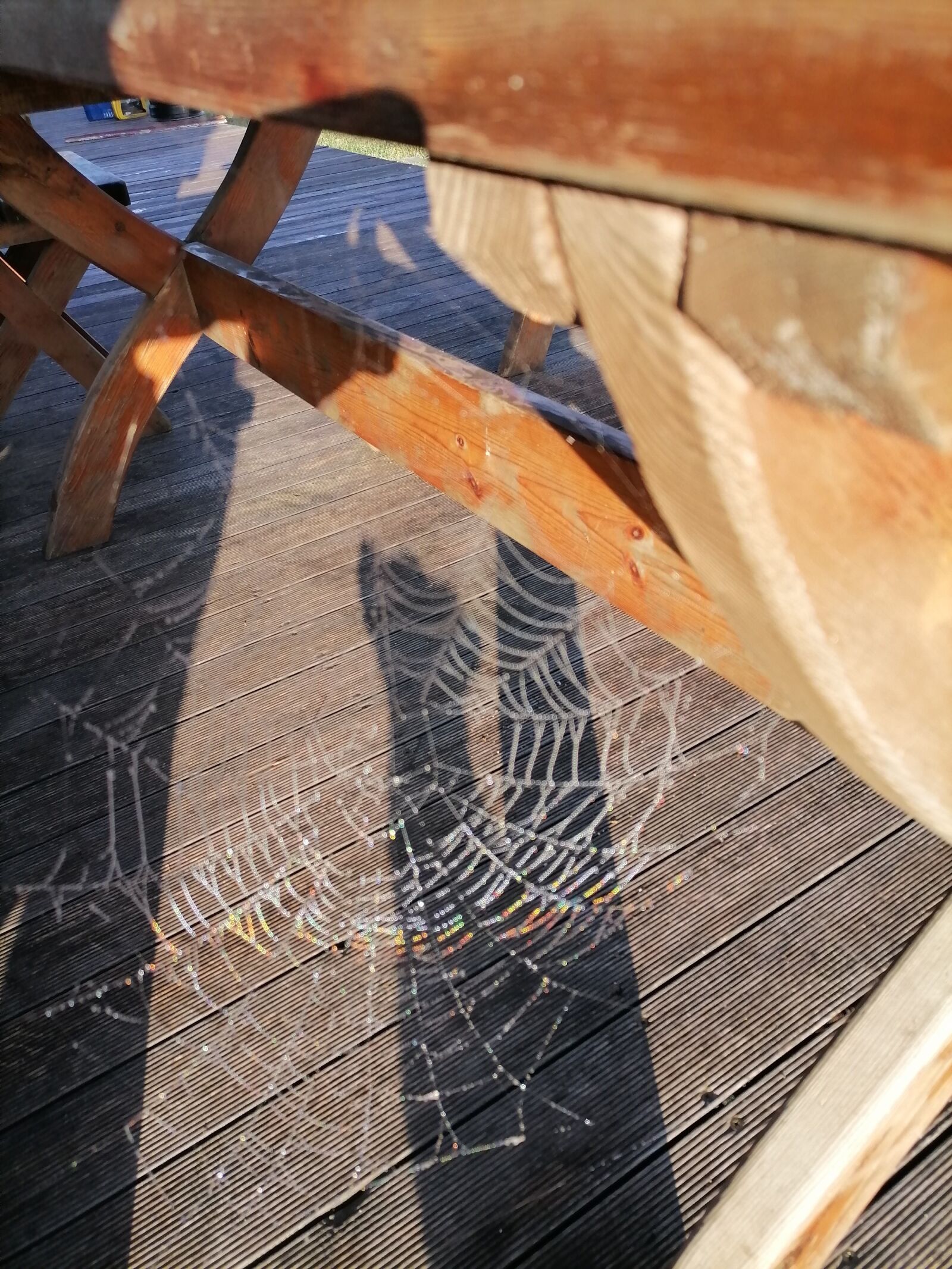 HUAWEI ART-L29 sample photo. Spider web, rainbow, space photography