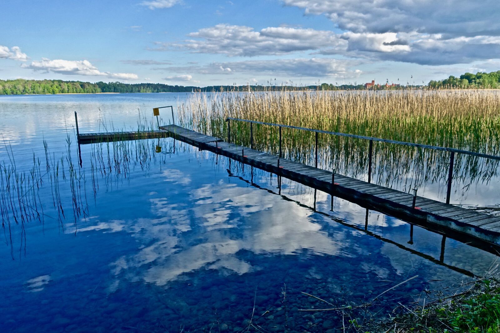 Sony Cyber-shot DSC-RX100 III sample photo. Pier, jetty, reeds photography