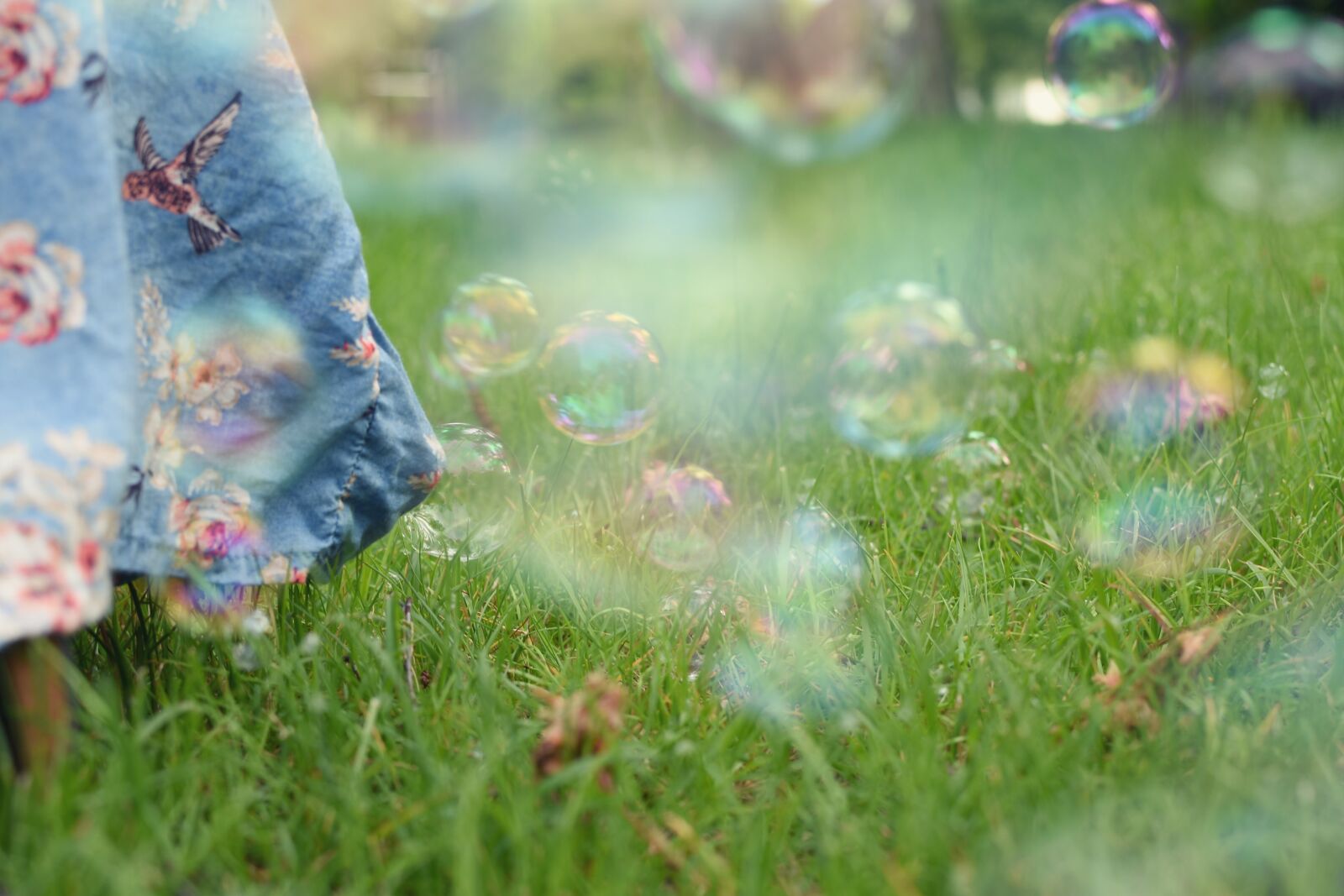 Nikon D7200 sample photo. Soap bubble, meadow, slightly photography