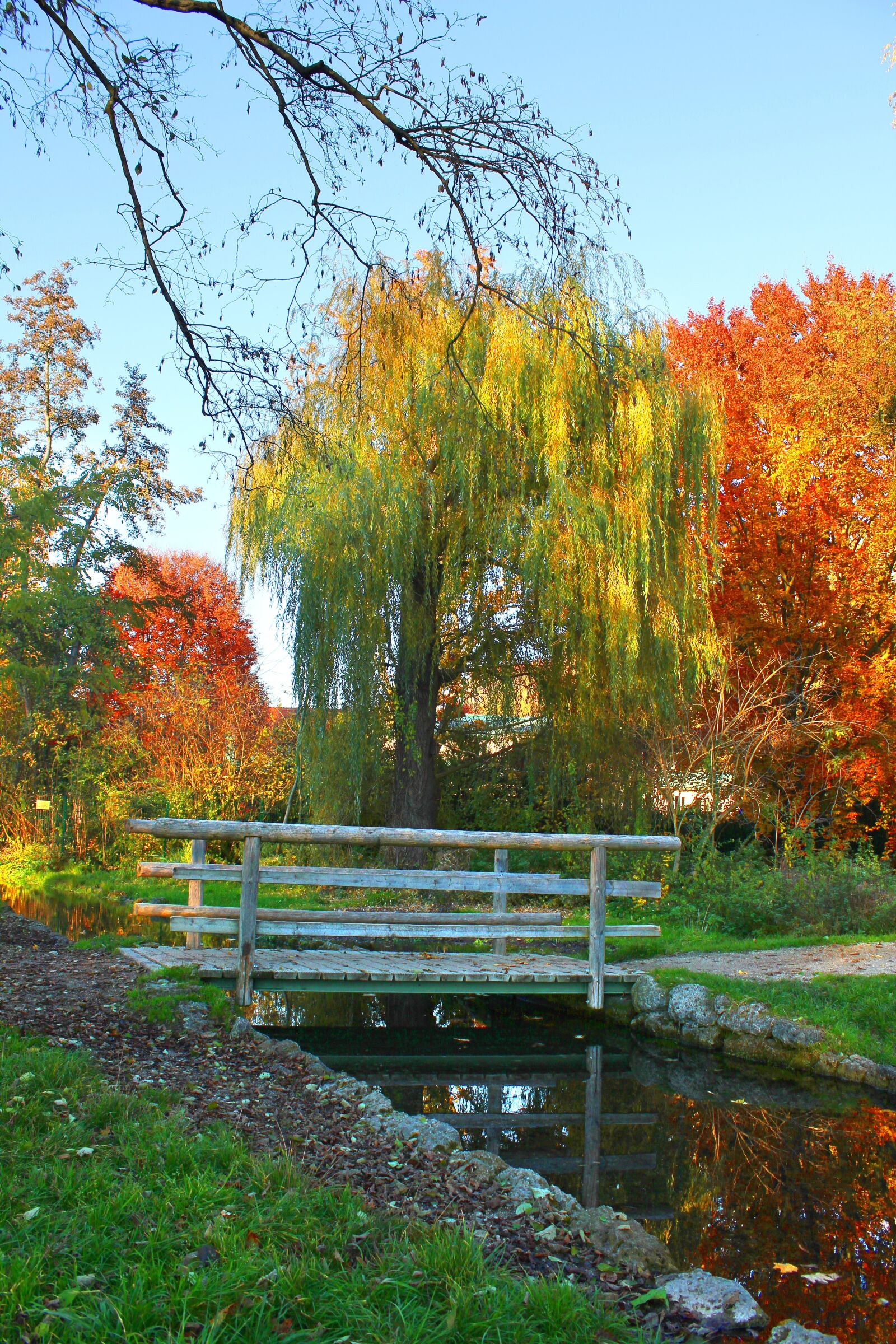 Canon EOS 550D (EOS Rebel T2i / EOS Kiss X4) sample photo. Bridge, park, nature photography