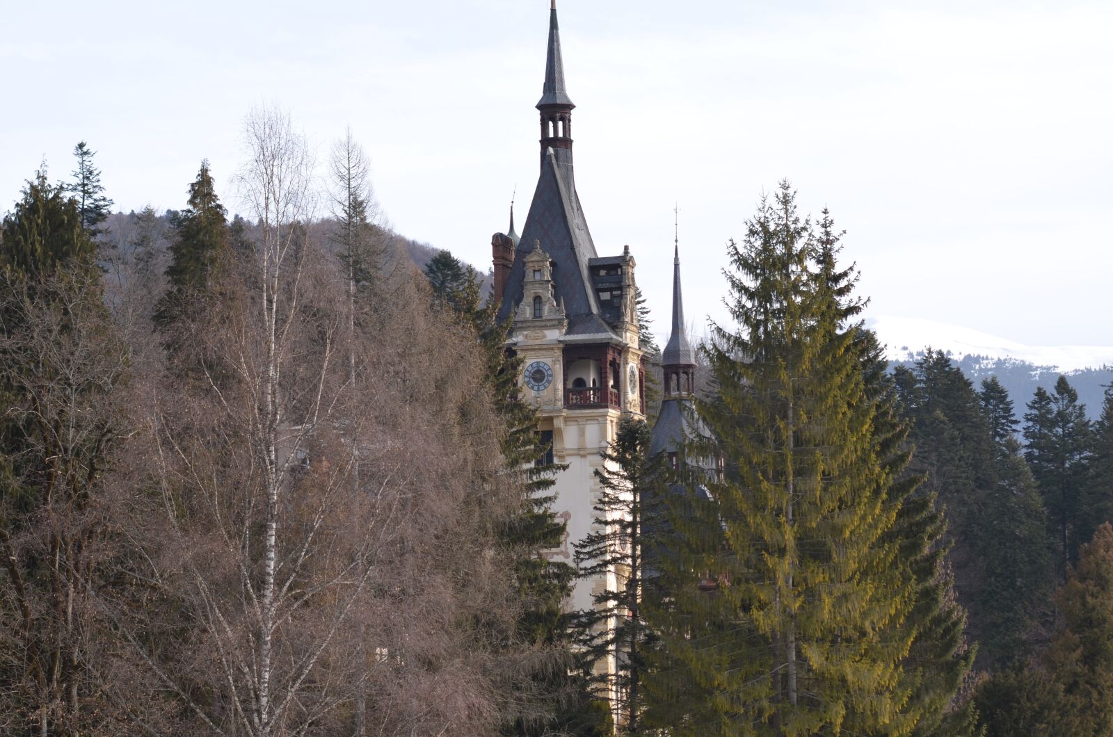 Nikon D5100 sample photo. Castle, romania, sinaia photography