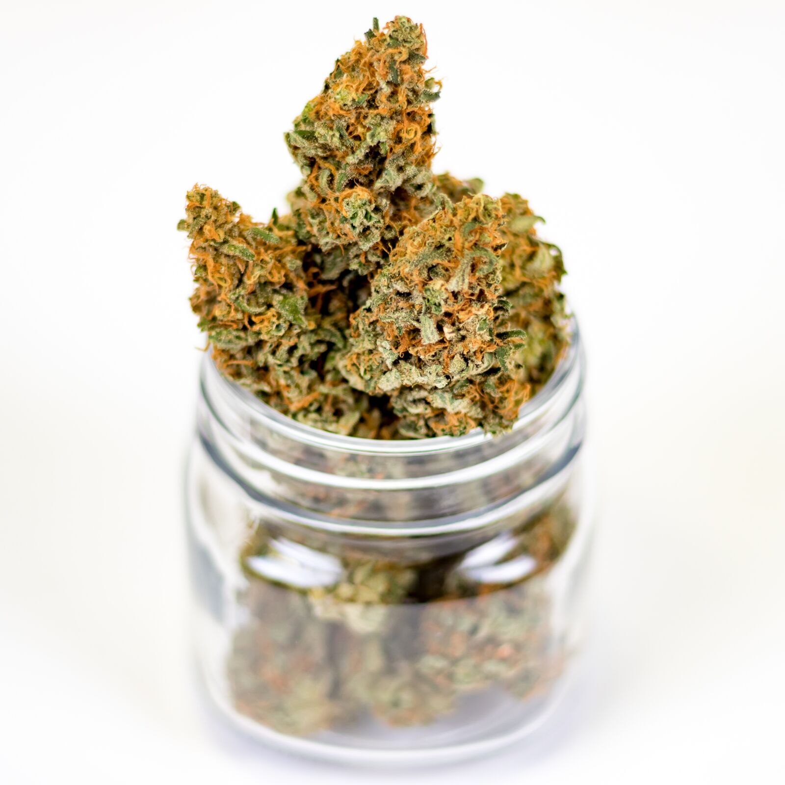 Canon EOS 80D + Canon EF 50mm F1.8 STM sample photo. Marijuana, pot, weed photography