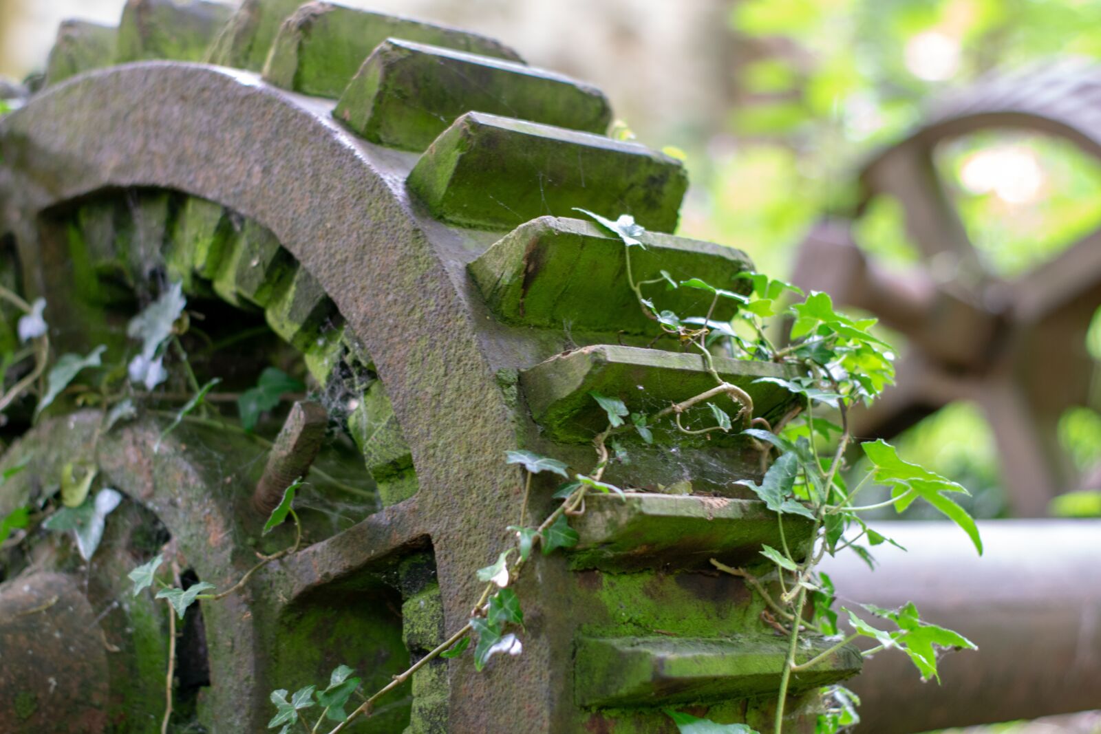 Nikon D5300 sample photo. Cogs, old derelict mill photography