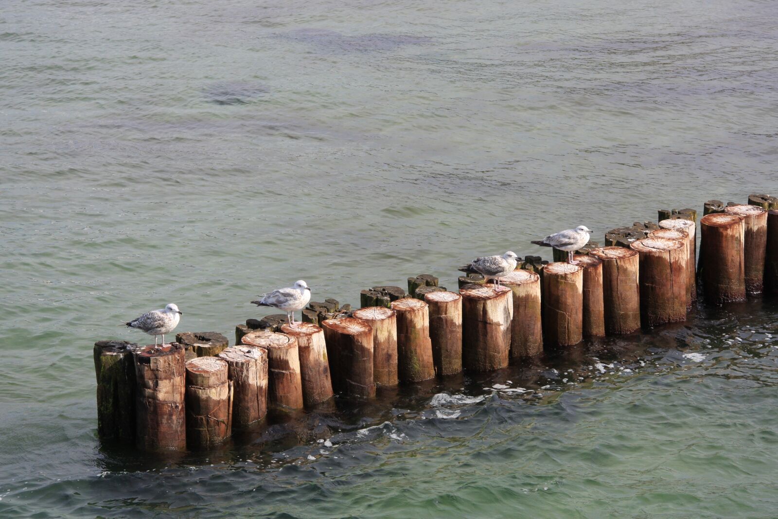 Canon EOS 40D sample photo. Waters, sea, coast photography