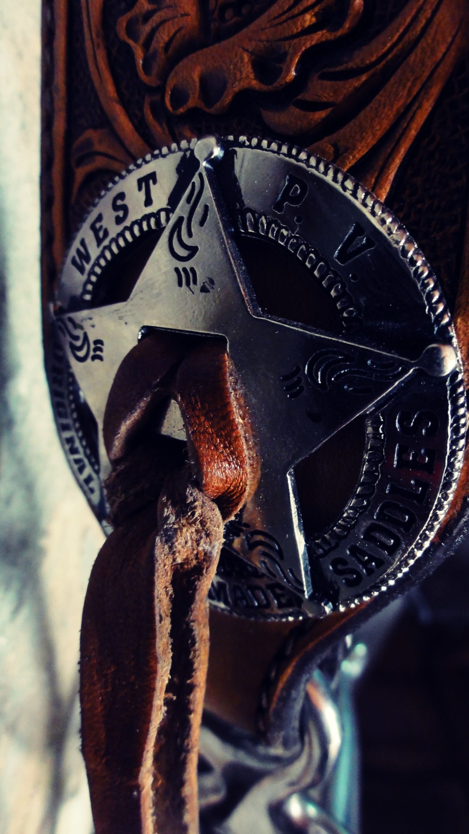 Sony DSC-HX5V sample photo. Equipment, horse, start, supply photography