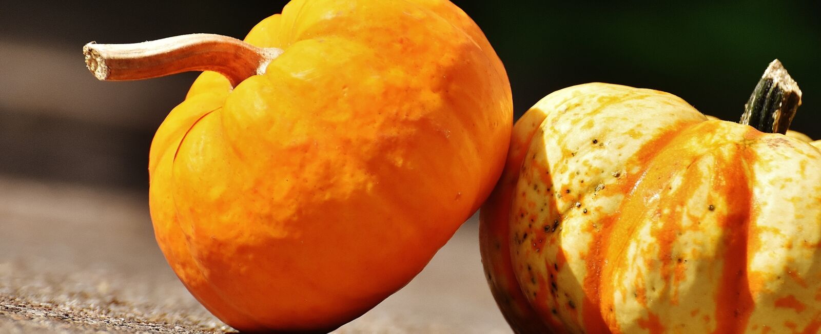 Nikon D7200 sample photo. Pumpkins, decorative squashes, nature photography
