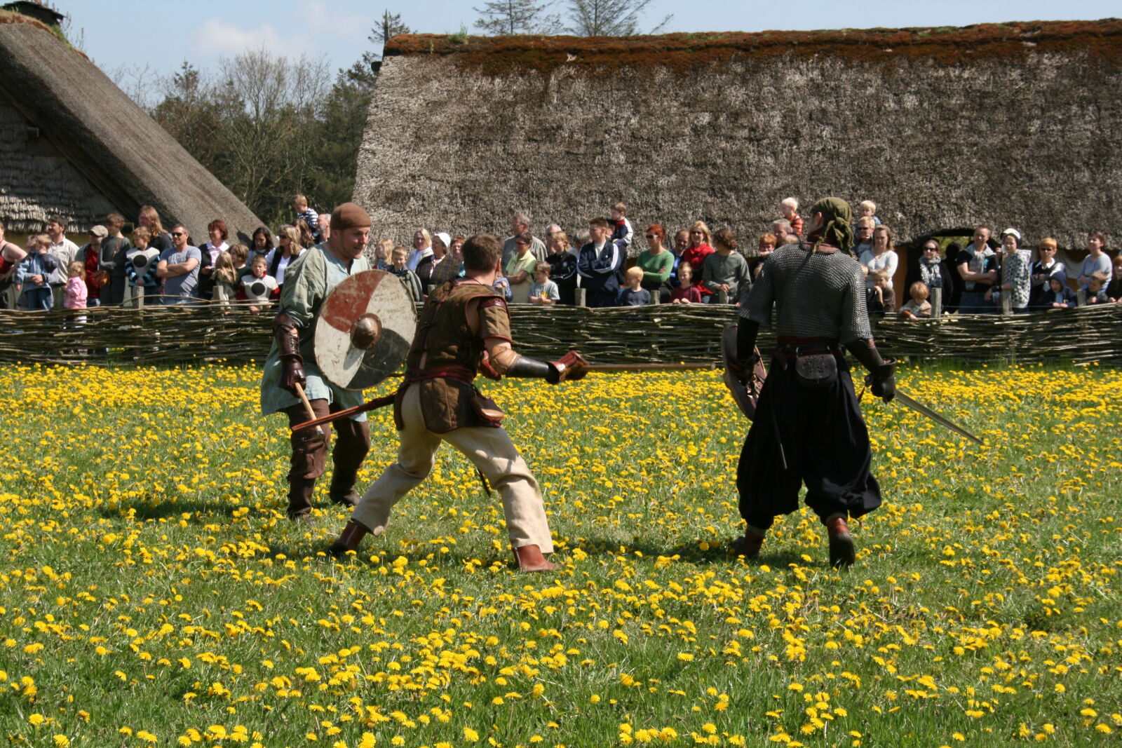 Sigma 18-200mm f/3.5-6.3 DC OS sample photo. Vikings photography