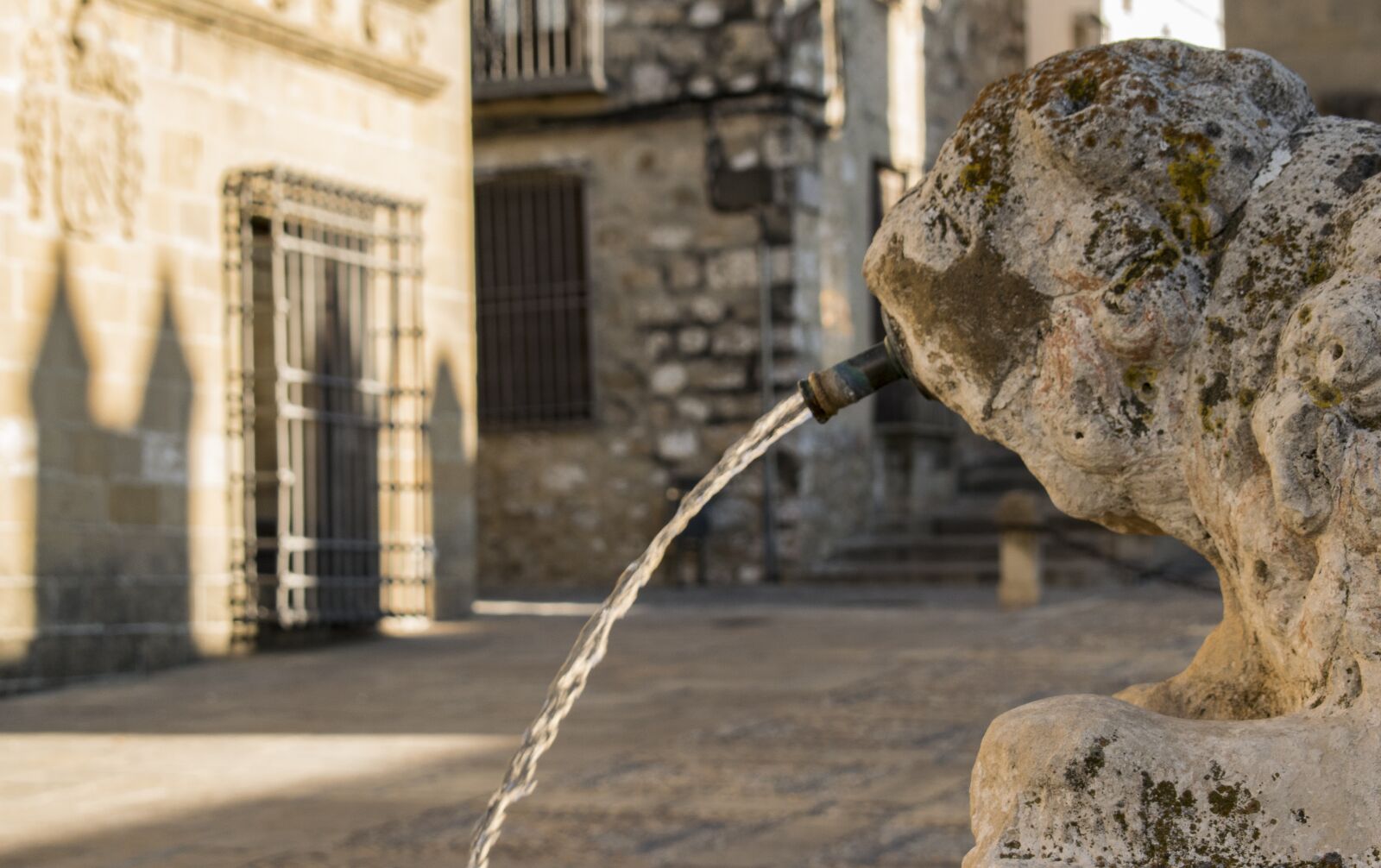 Nikon D5300 sample photo. Source, leon, water photography