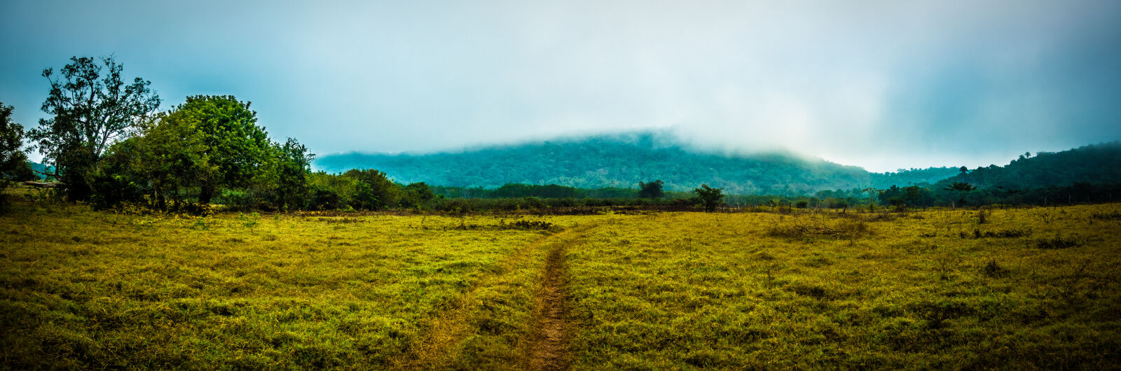 Sony Cyber-shot DSC-RX100 IV sample photo. Clouds, forest, green, mexico photography