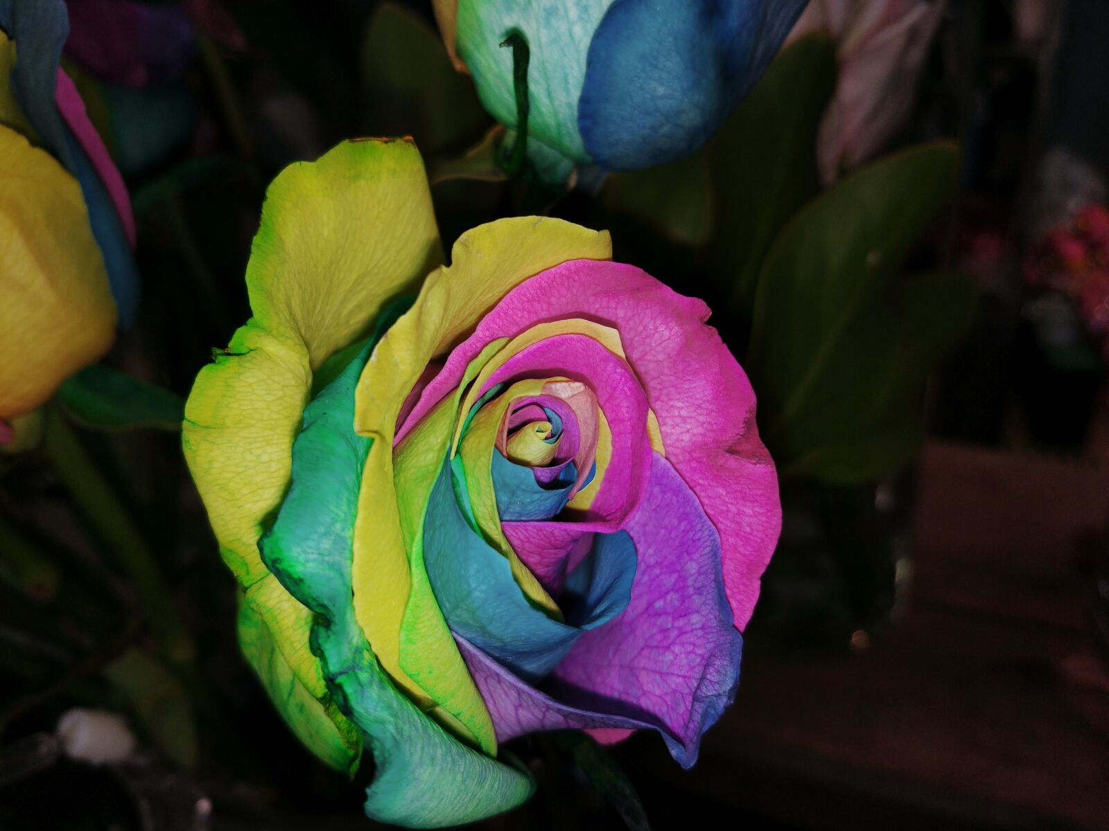 Xiaomi MI 5 sample photo. Color, rose, flower shop photography