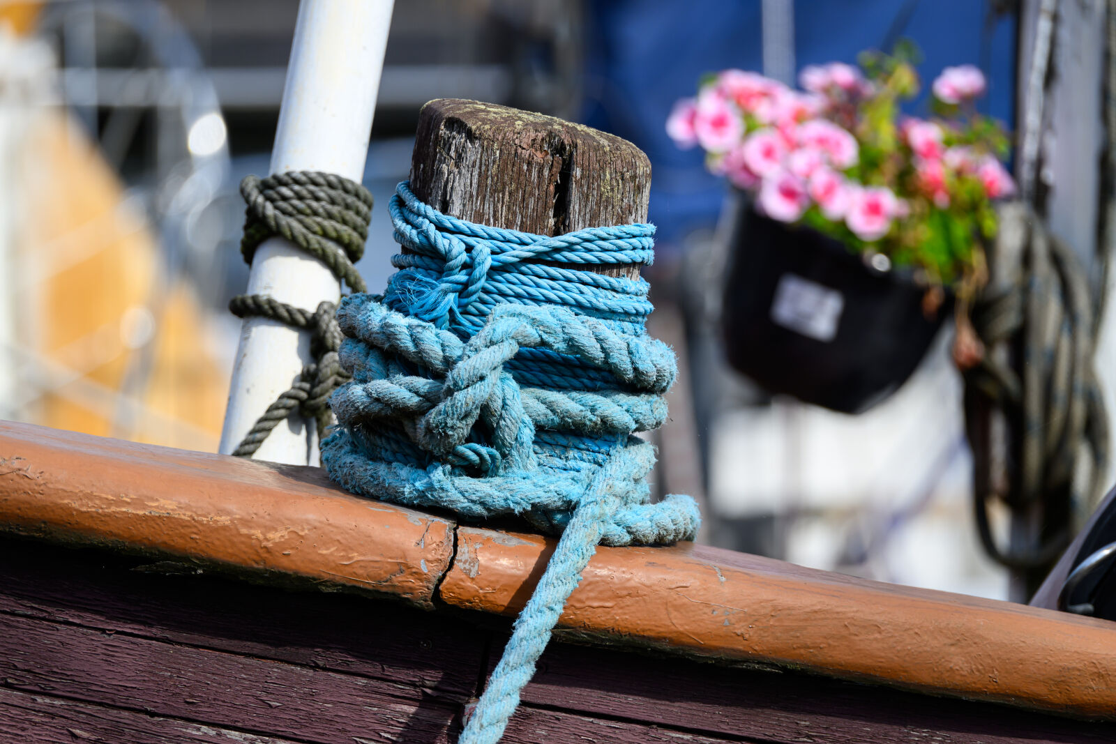 Nikon Z8 sample photo. Boat rope photography