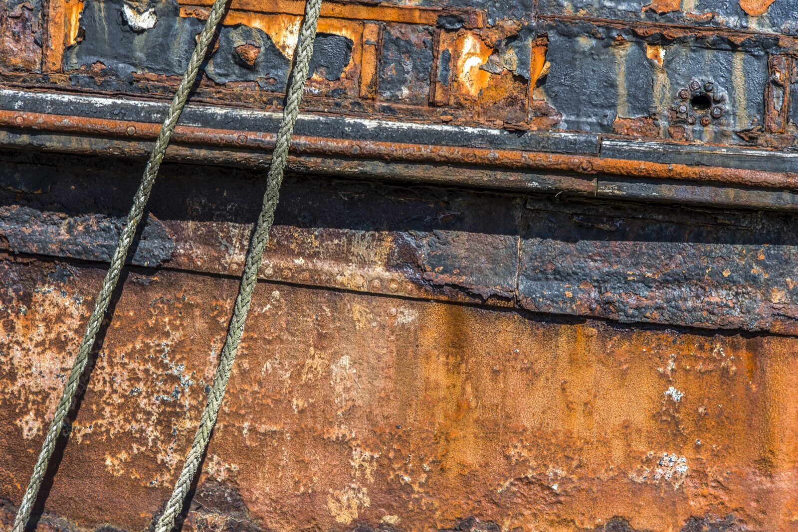 Nikon D610 sample photo. Texture, texture wood, peeling photography