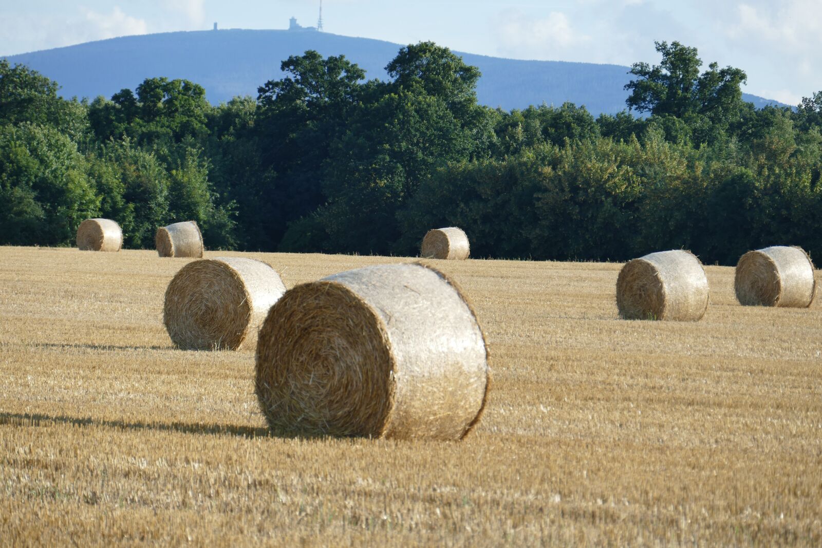 Panasonic Lumix DMC-FZ1000 sample photo. Nature, hay bales, arable photography