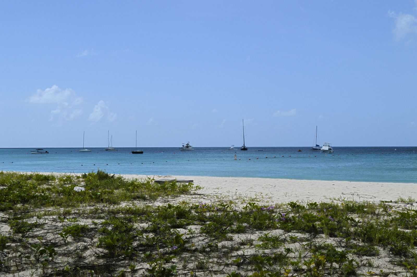 Nikon D3200 sample photo. Beach, barbados, bay street photography