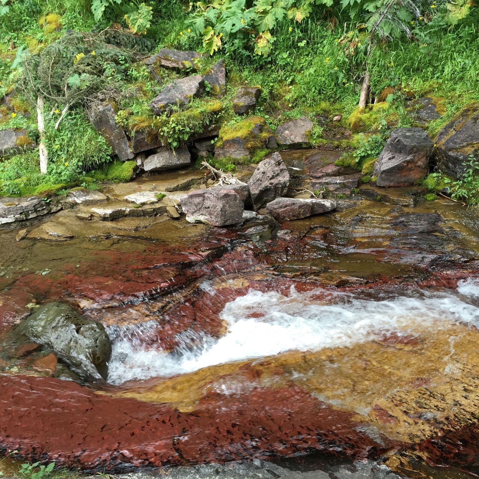 Apple iPhone 6 sample photo. Glacier, park, stream photography