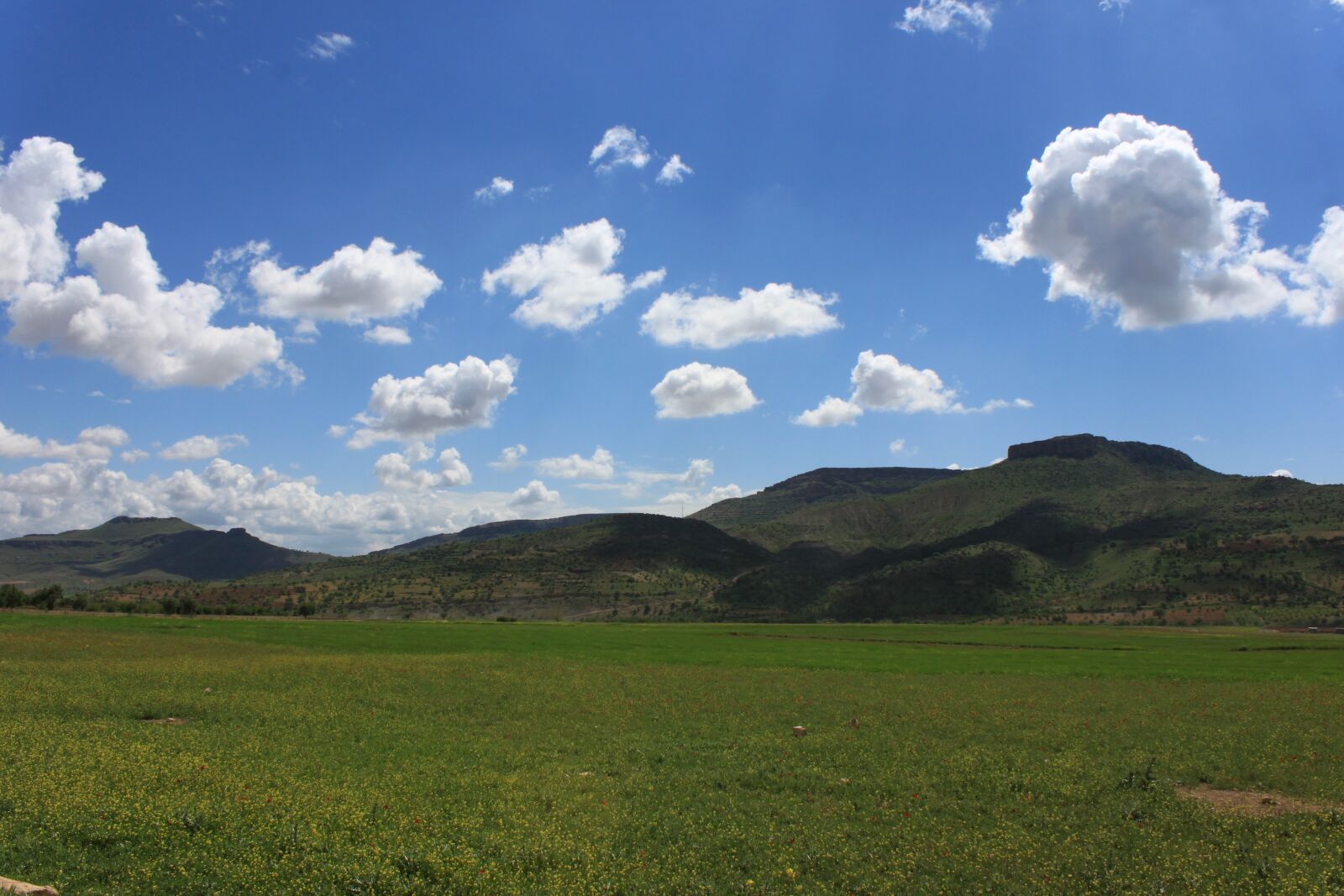 Canon EOS 500D (EOS Rebel T1i / EOS Kiss X3) sample photo. Cloud, mountain, sky photography