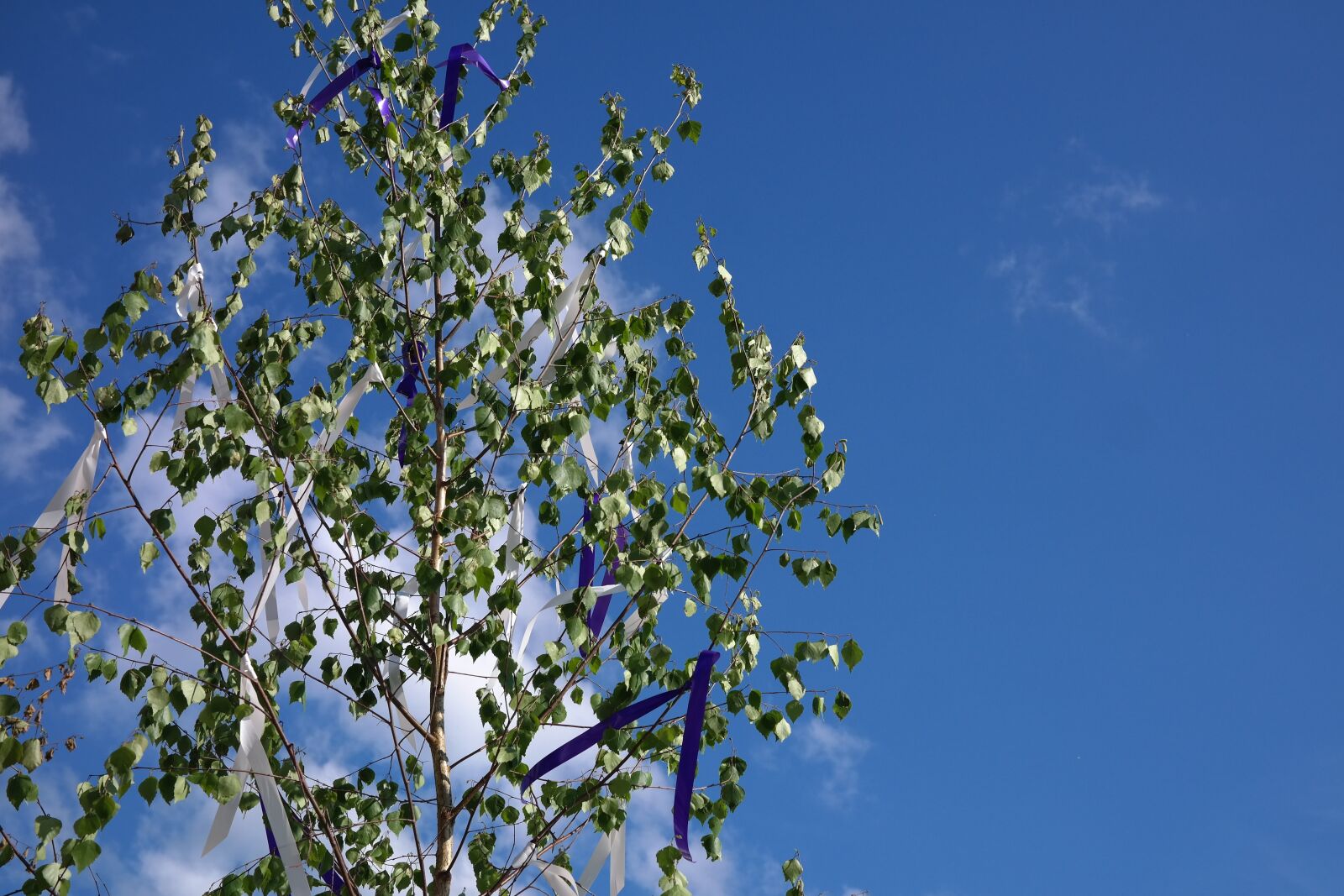Samsung NX300 sample photo. Maypole, tree, bands photography