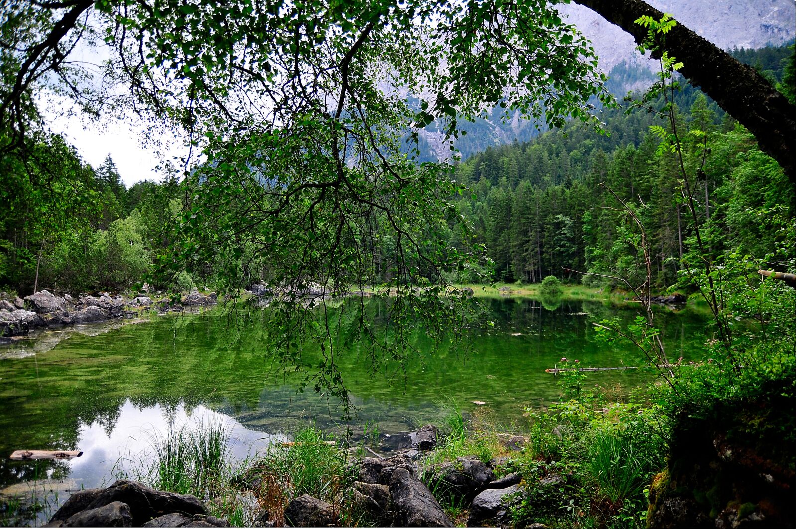 Nikon D300 sample photo. Bavaria, eibsee, zugspitz country photography