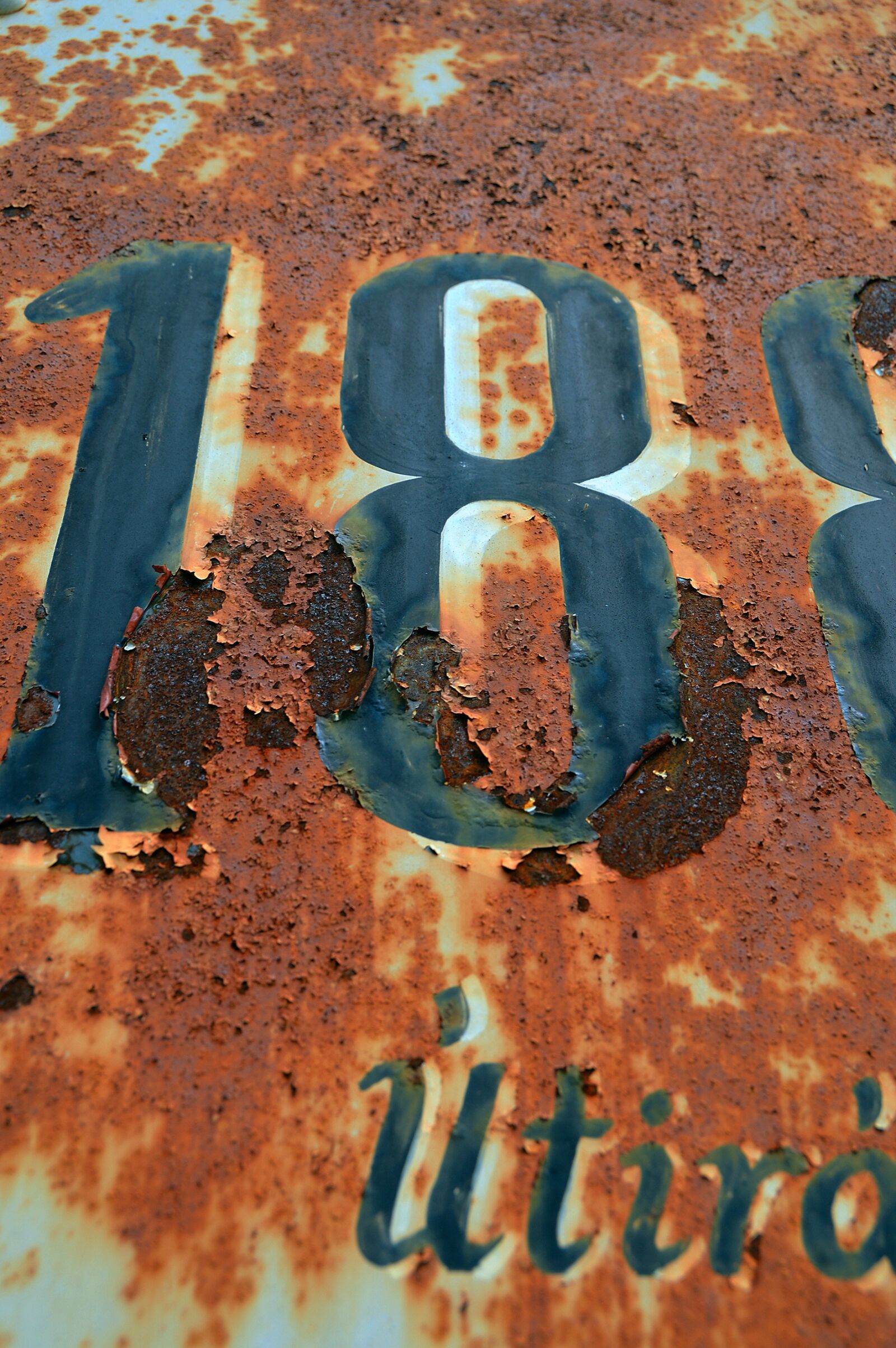 Nikon D3200 sample photo. Rust, iron, metal photography