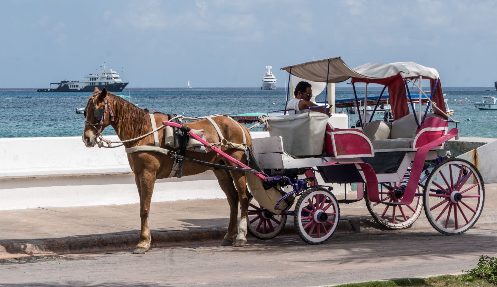Sony a7R II sample photo. Horse, seaside, ocean view photography