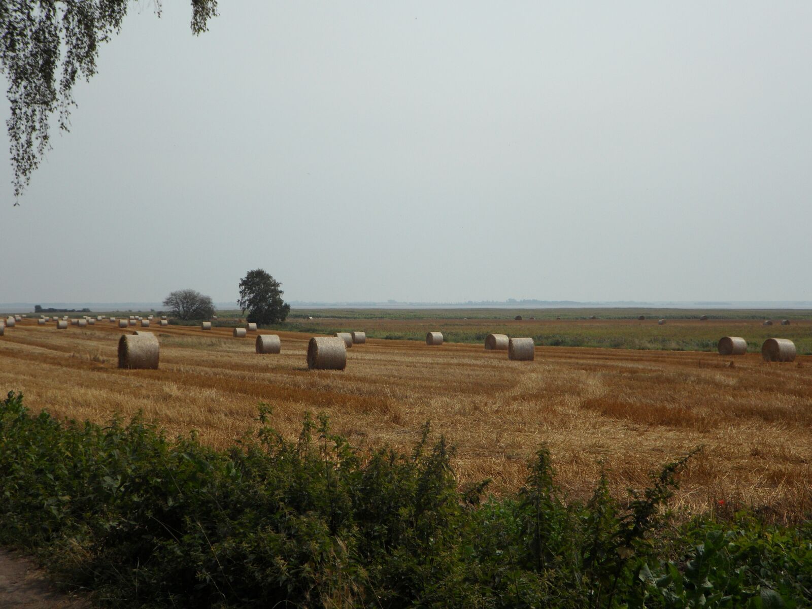 Samsung VLUU WB210, SAMSUNG WB210 sample photo. Fields, hay, straw bales photography