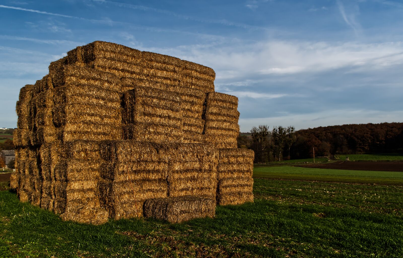 Nikon D5500 sample photo. Straw, straw bales, agriculture photography