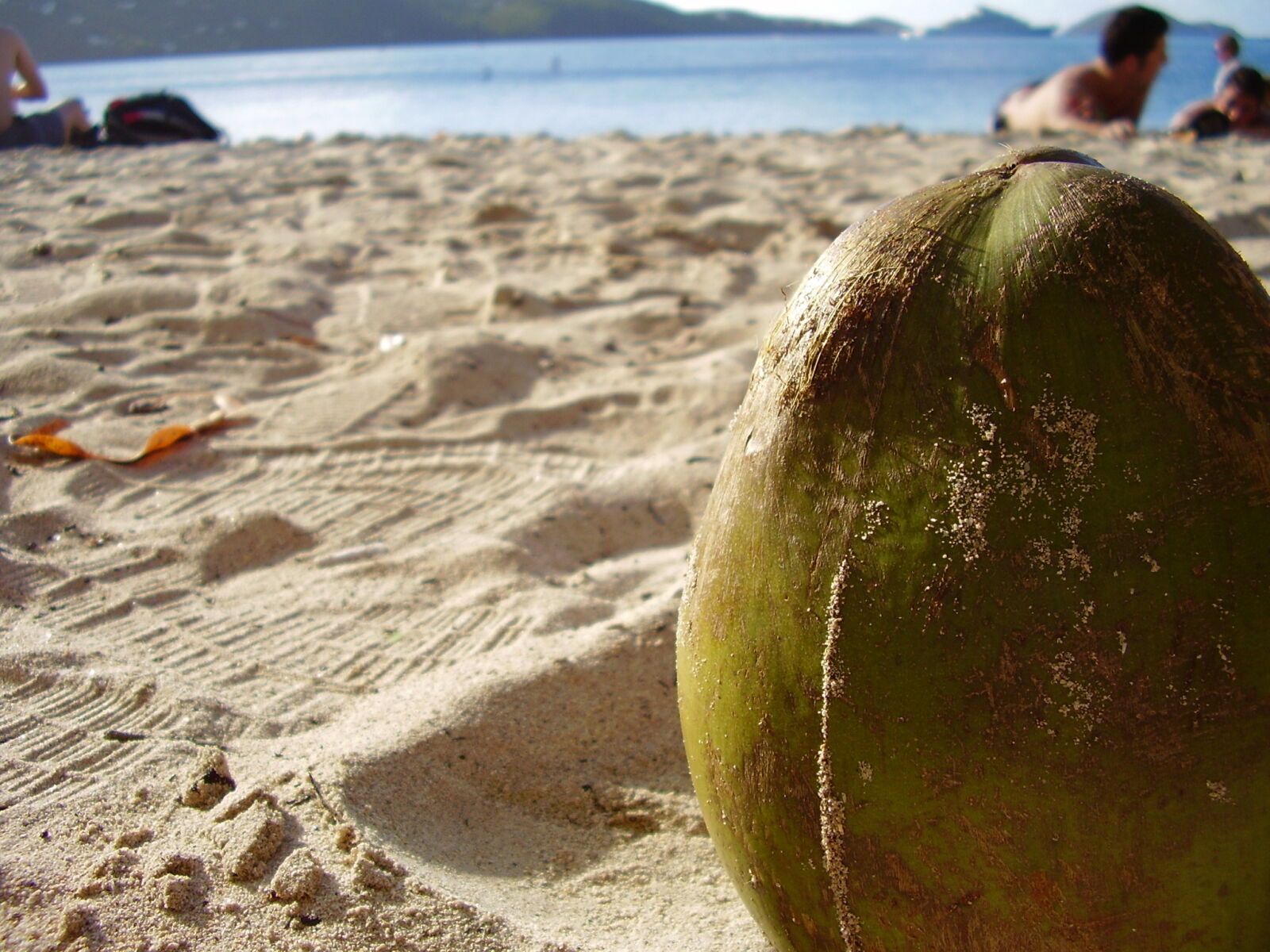Olympus FE115,X715 sample photo. Beach, coconut photography