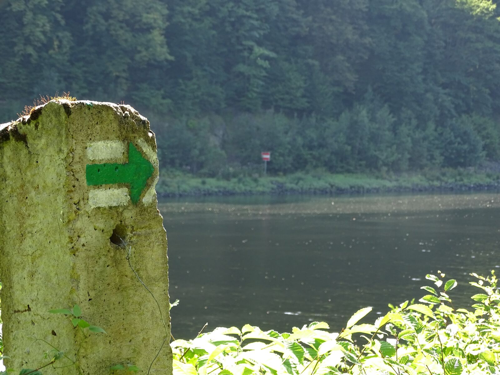 Sony Cyber-shot DSC-HX400V sample photo. Arrow, brand, designation photography
